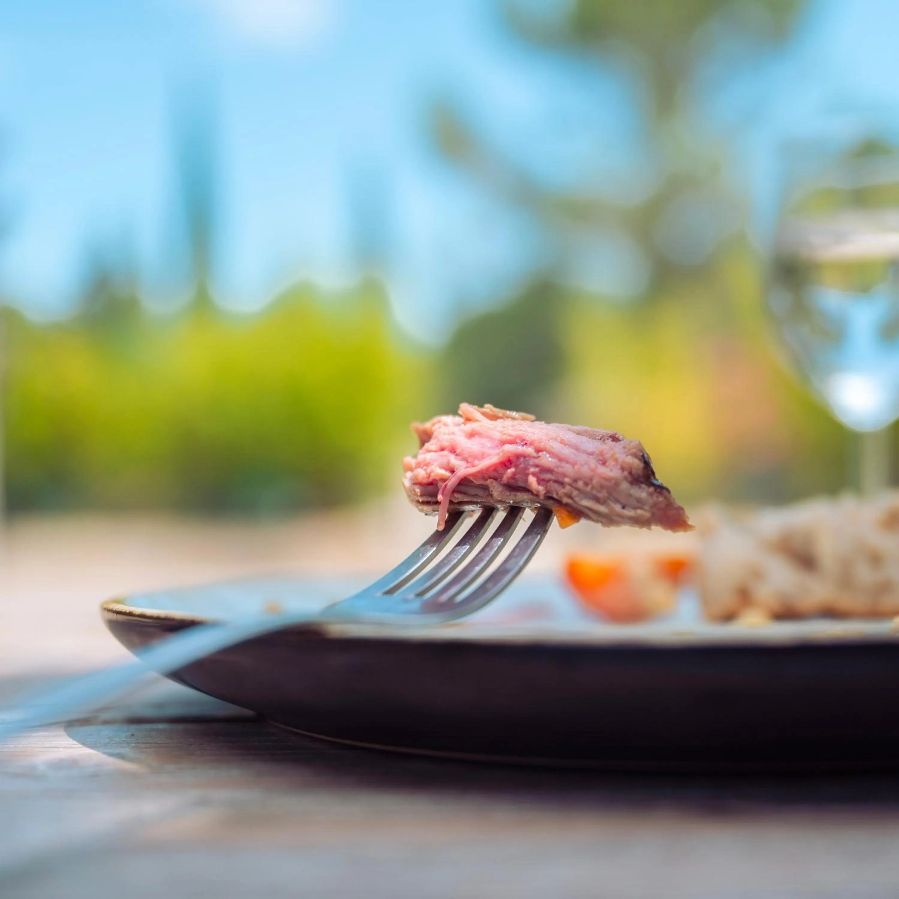 Day in La Villa Vicha, The Originals Relais