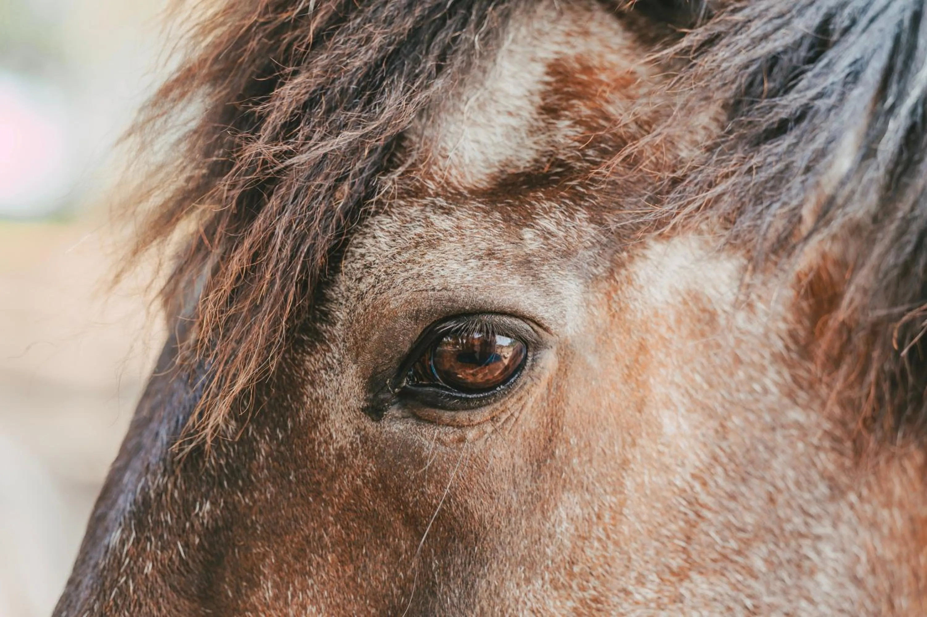 Day in La Villa Vicha, The Originals Relais