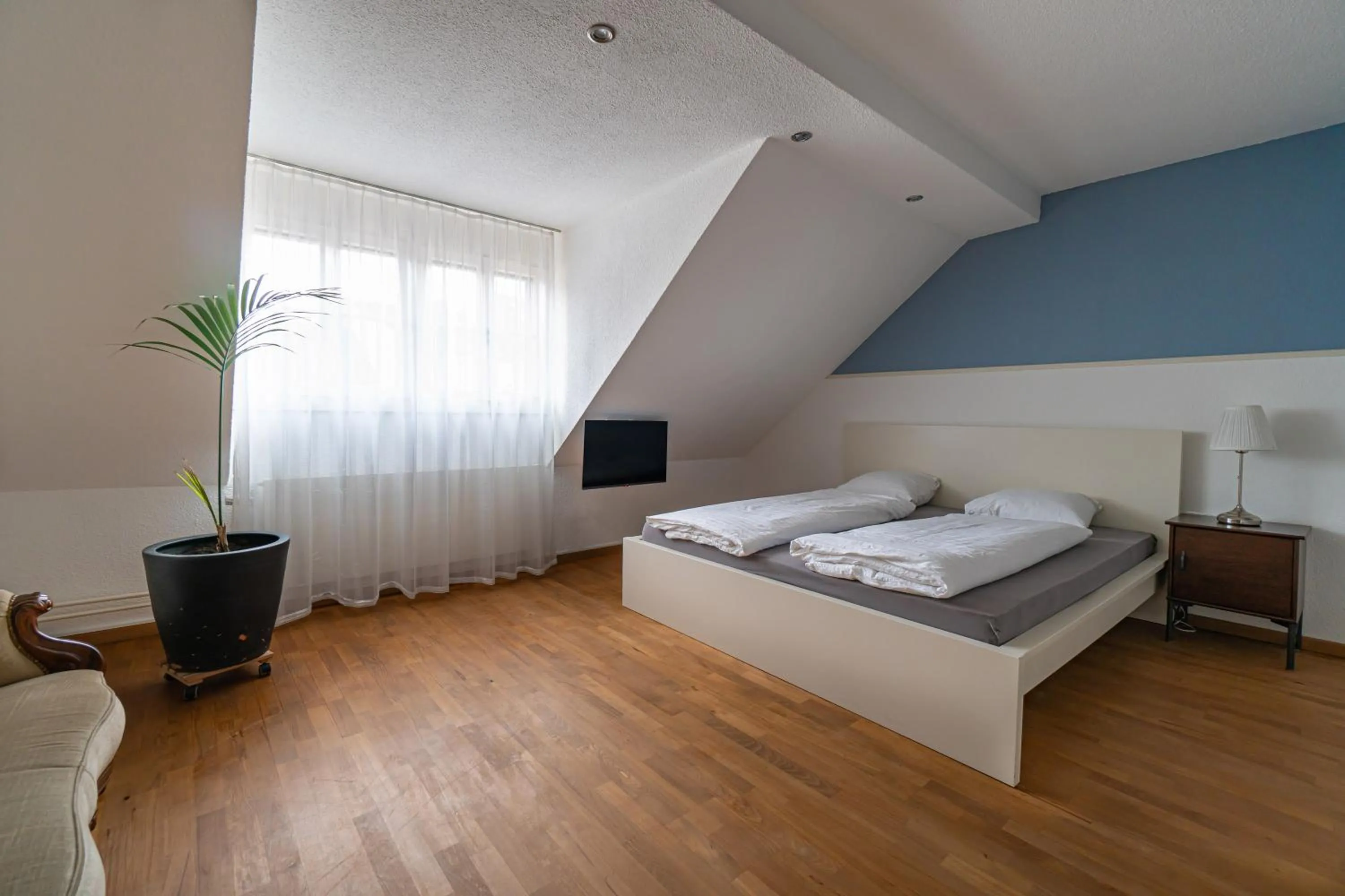 Double Room with Shared Bathroom - single occupancy in Hotel Albani Bar of Music