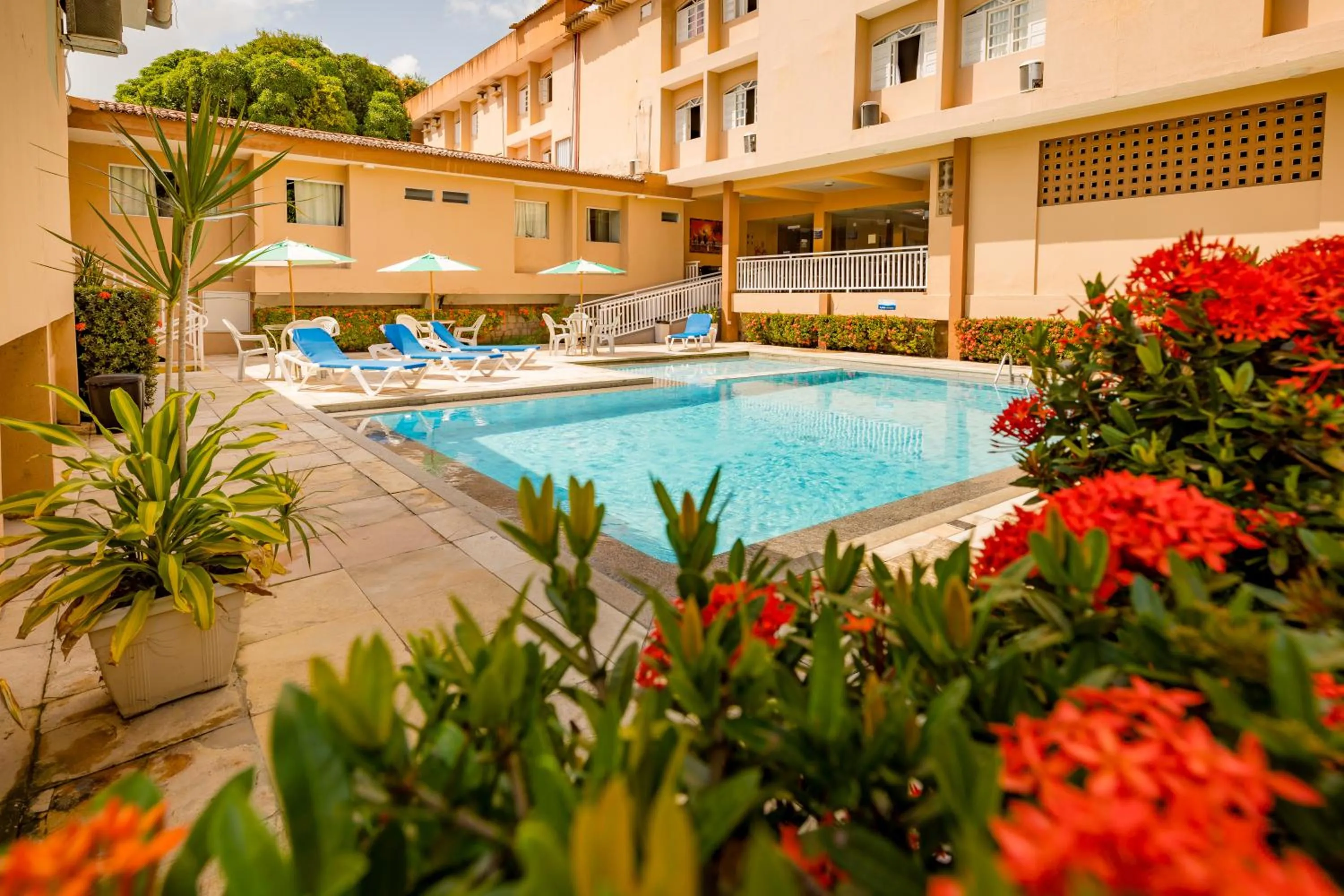 Swimming pool in El Aram Ponta Negra