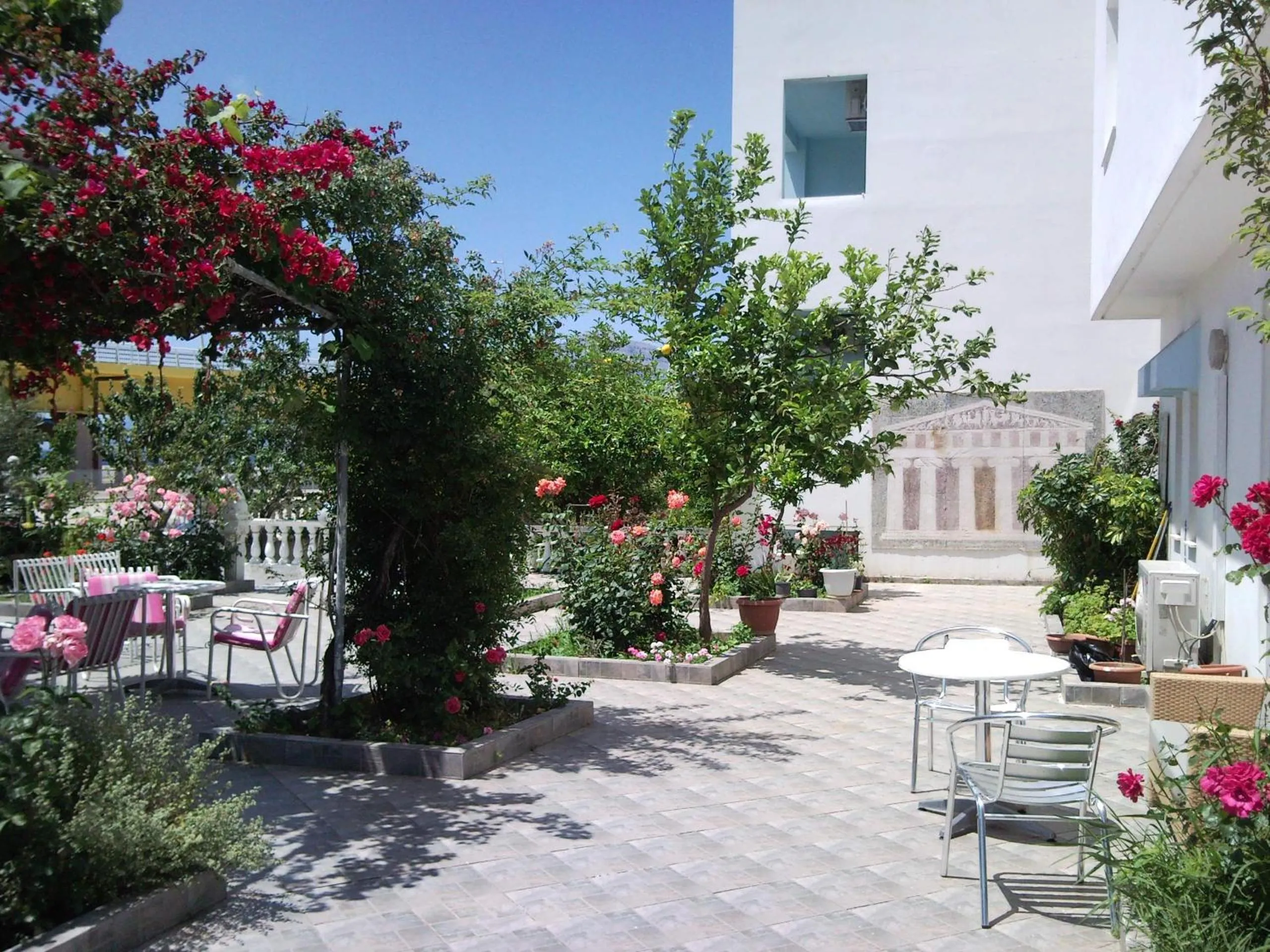Garden in Hotel Apollon