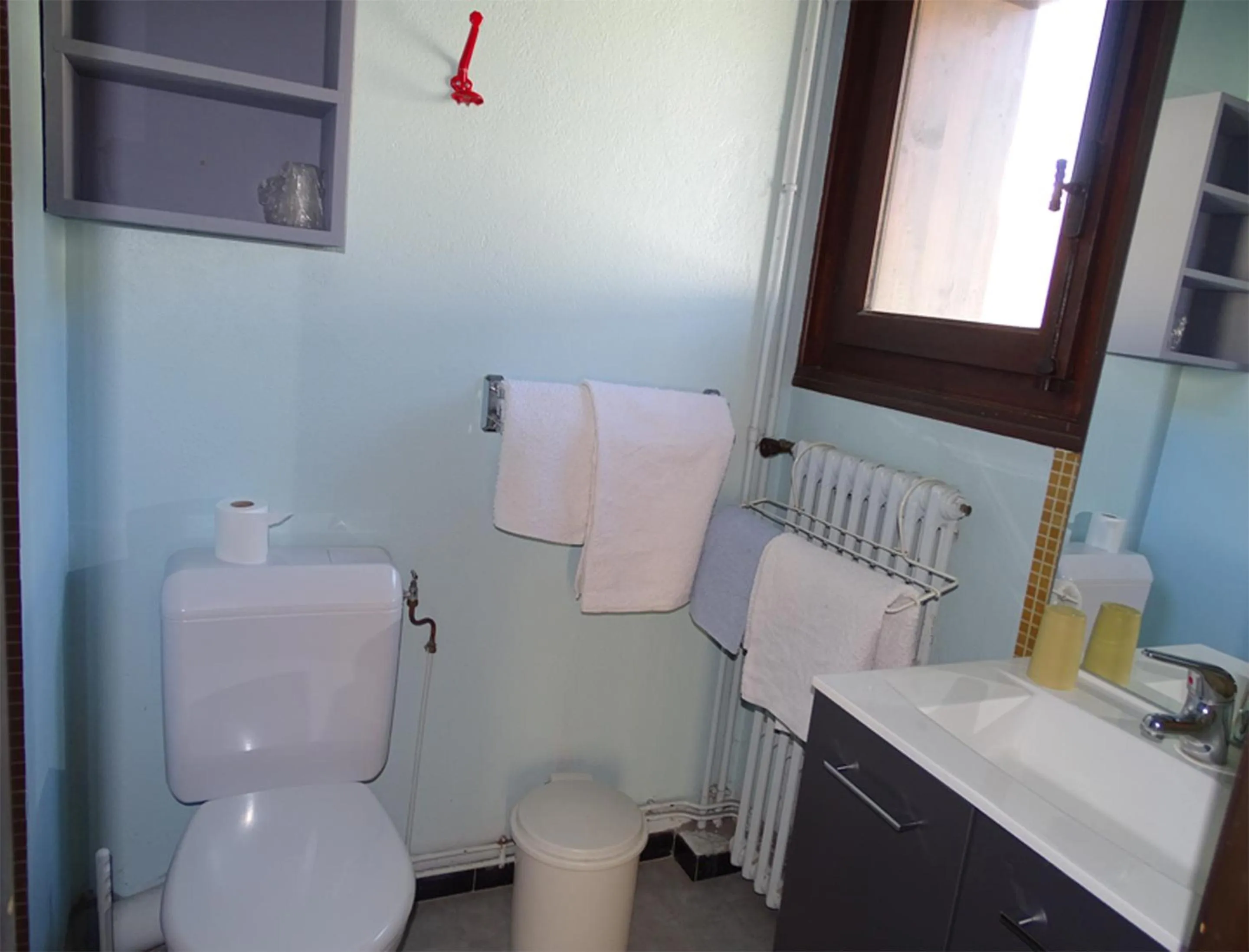 Toilet in Chalet La Barme Les Houches Vallée de Chamonix