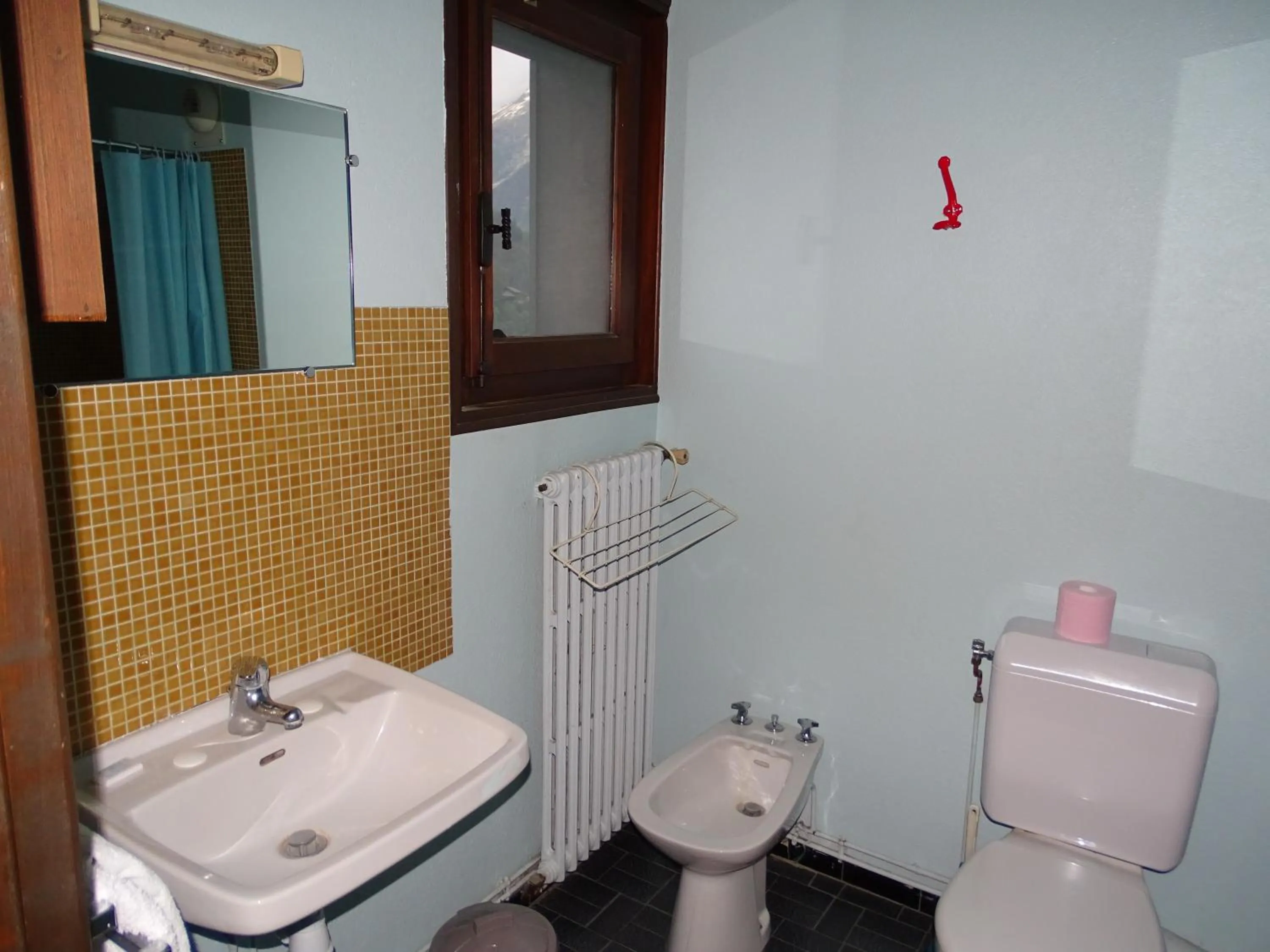 Toilet in Chalet La Barme Les Houches Vallée de Chamonix