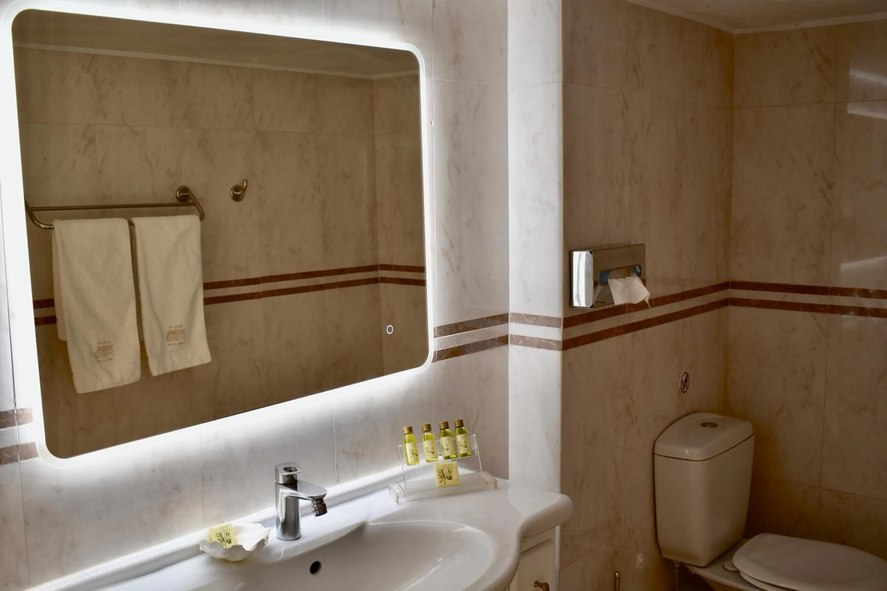 Toilet in Aeolos Art & Eco Suites Adults Only