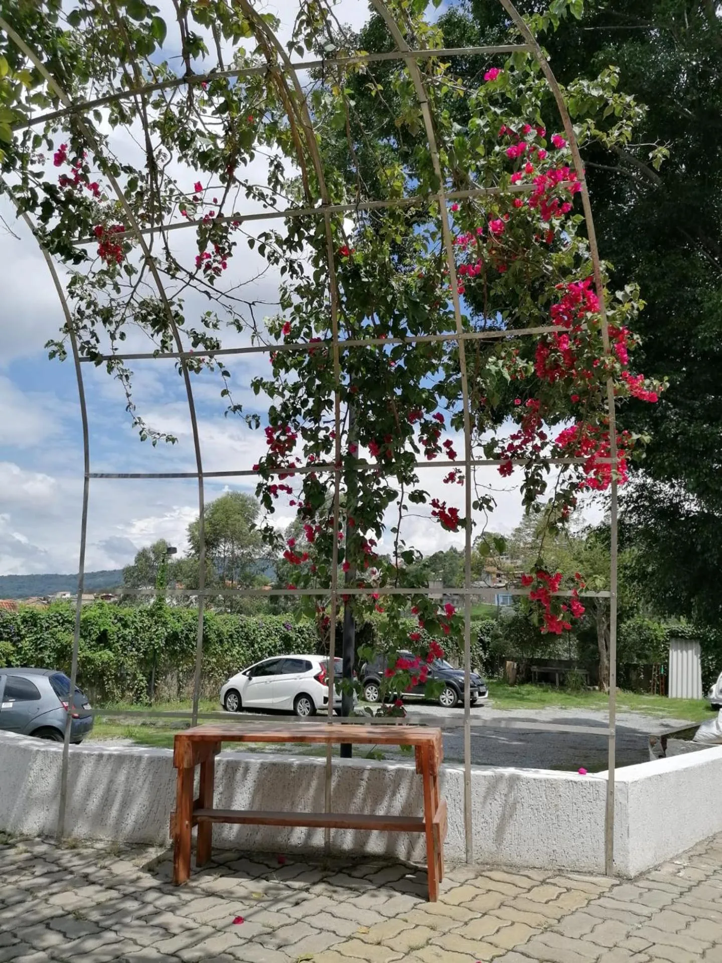 Garden in Pousada TOP Mairiporã