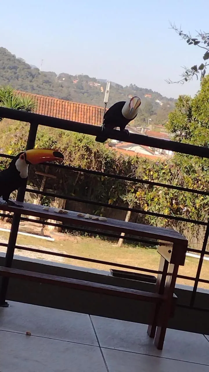 Animals in Pousada TOP Mairiporã