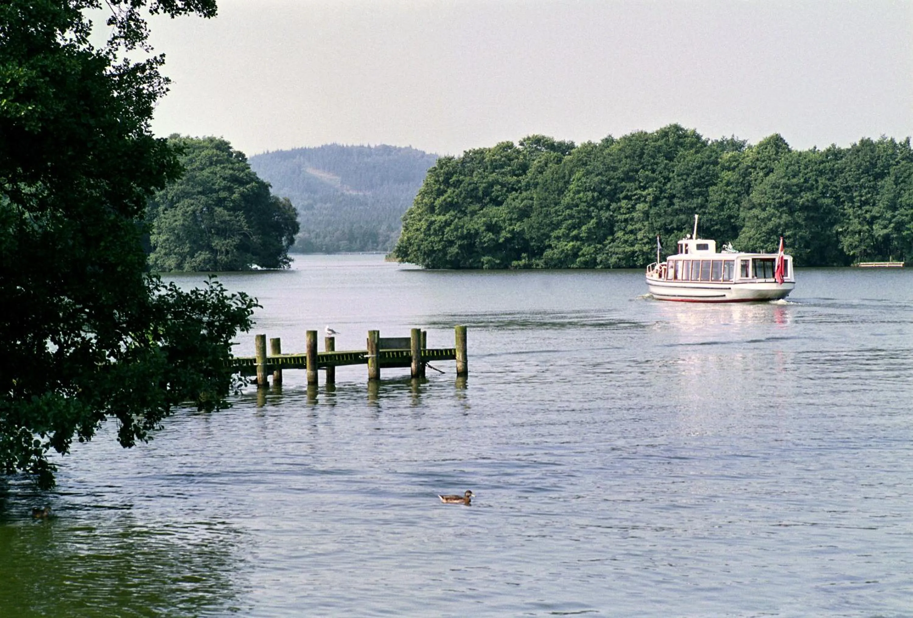 Natural landscape in Hotel Ry