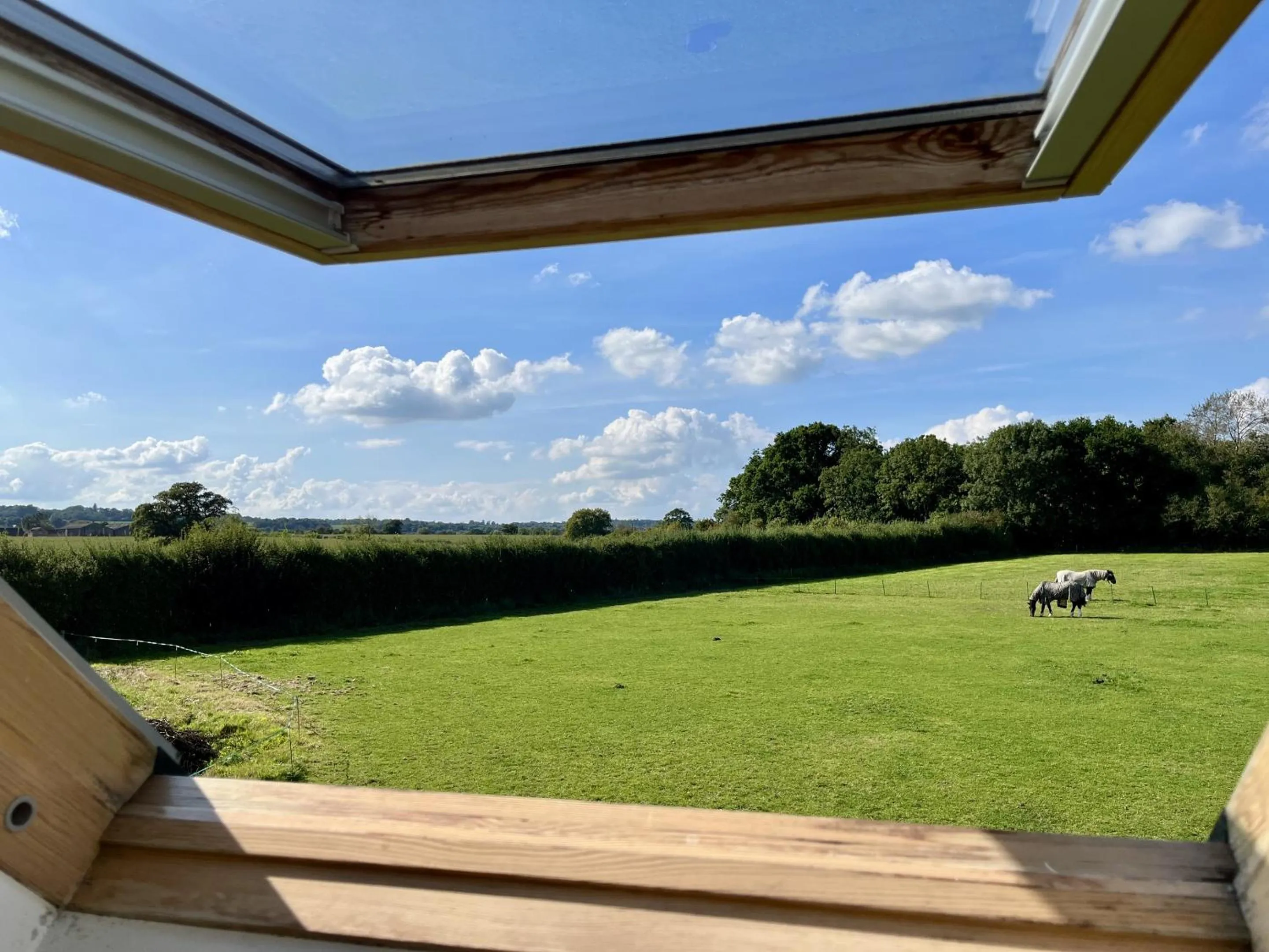 Property building in Priors Oak - A Cosy Studio with Countryside Views in Dorset