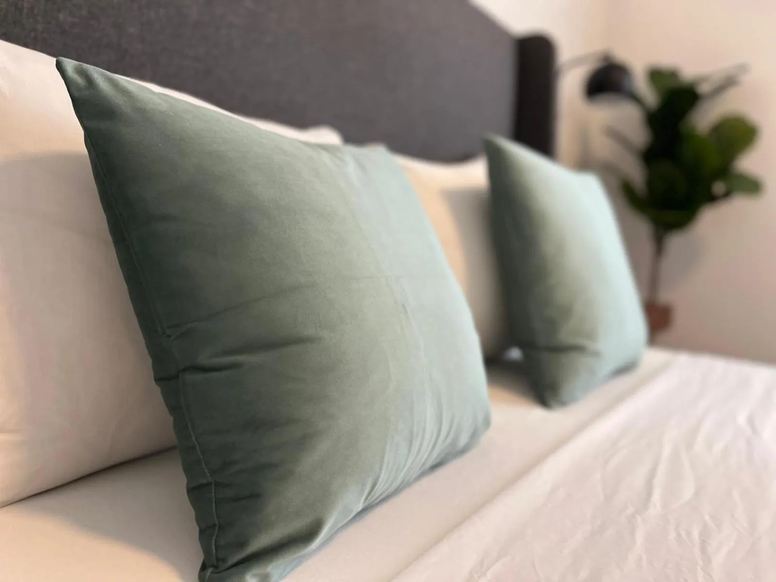 Bed in Costa Norte Boutique Hotel Miami Beach