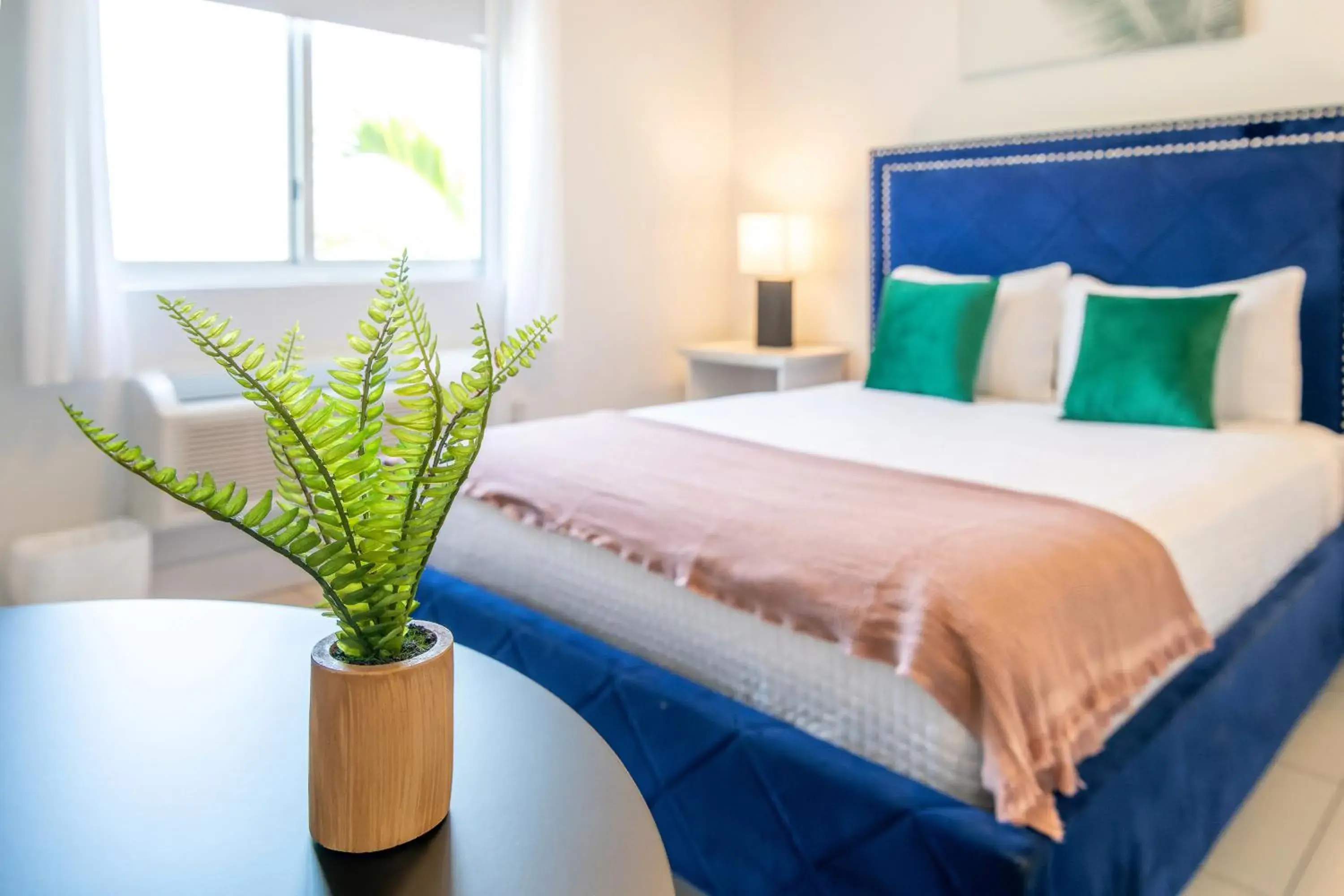 Double Room in Costa Norte Boutique Hotel Miami Beach Double Room in Costa Norte Boutique Hotel Miami Beach