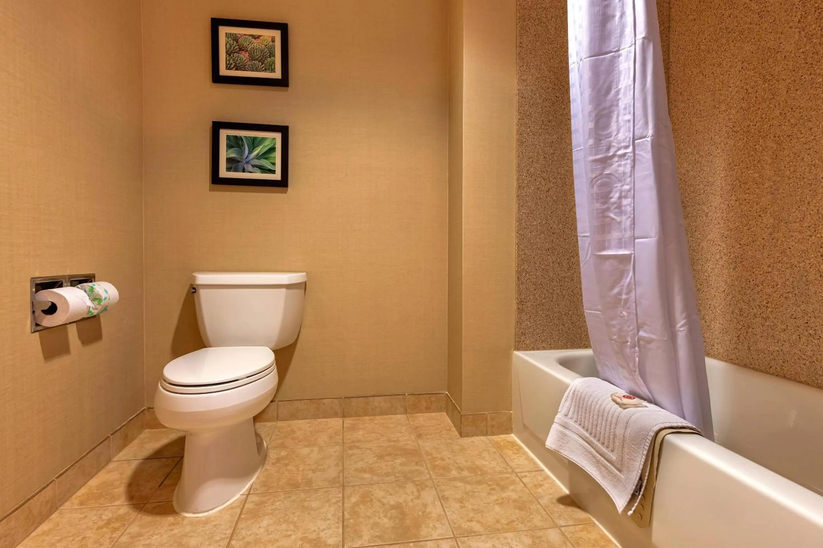 Bedroom in Comfort Suites Goodyear-West Phoenix