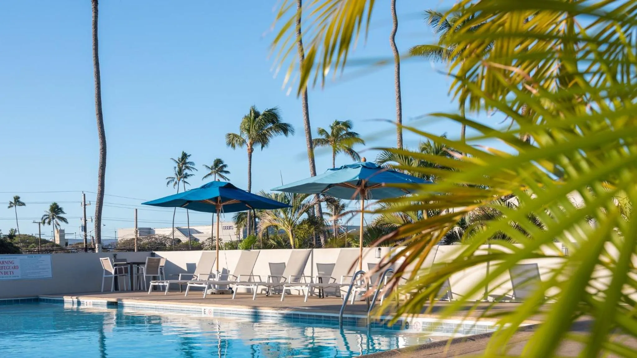 Swimming pool in Maui Beach Hotel