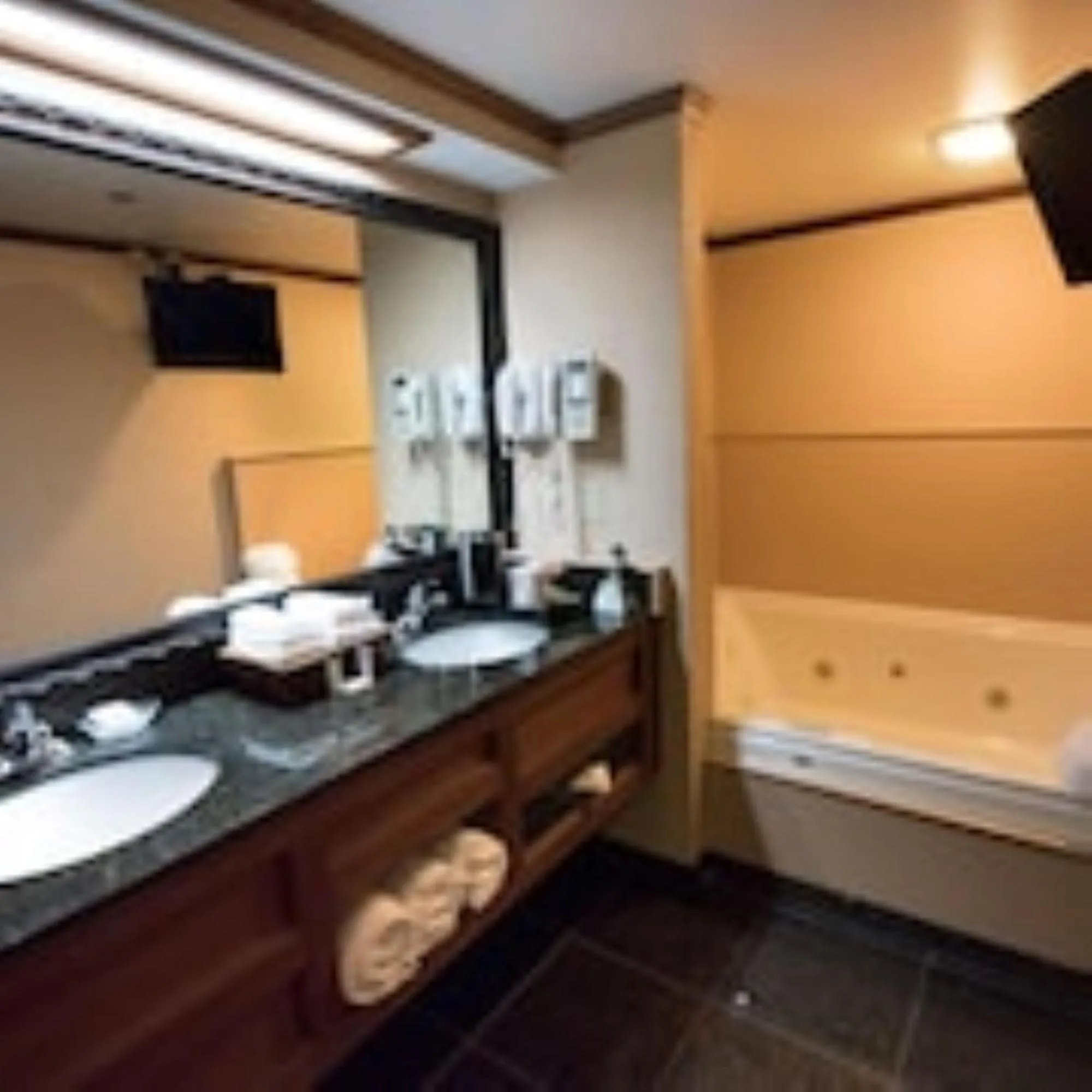 Bathroom in Hamilton Inn Select Beachfront Mackinaw City