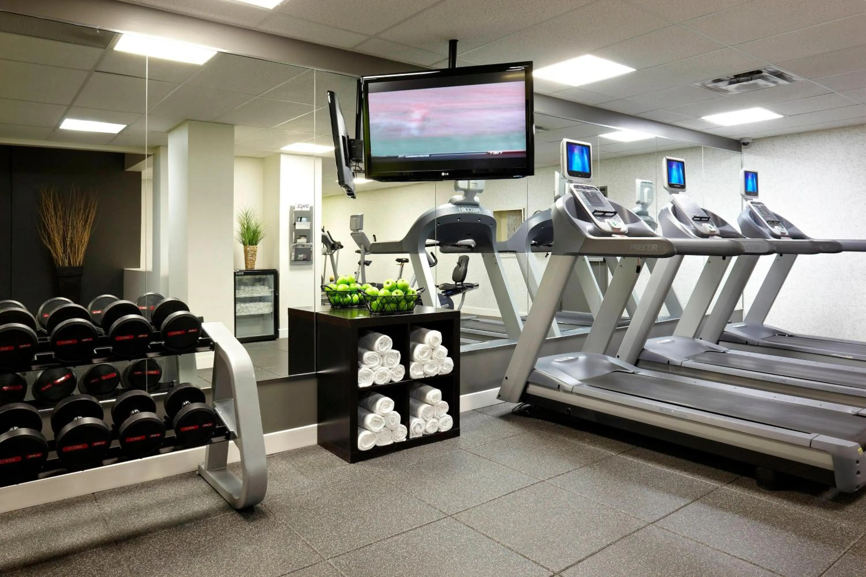 Fitness centre/facilities in Delta Hotels by Marriott Ottawa City Centre