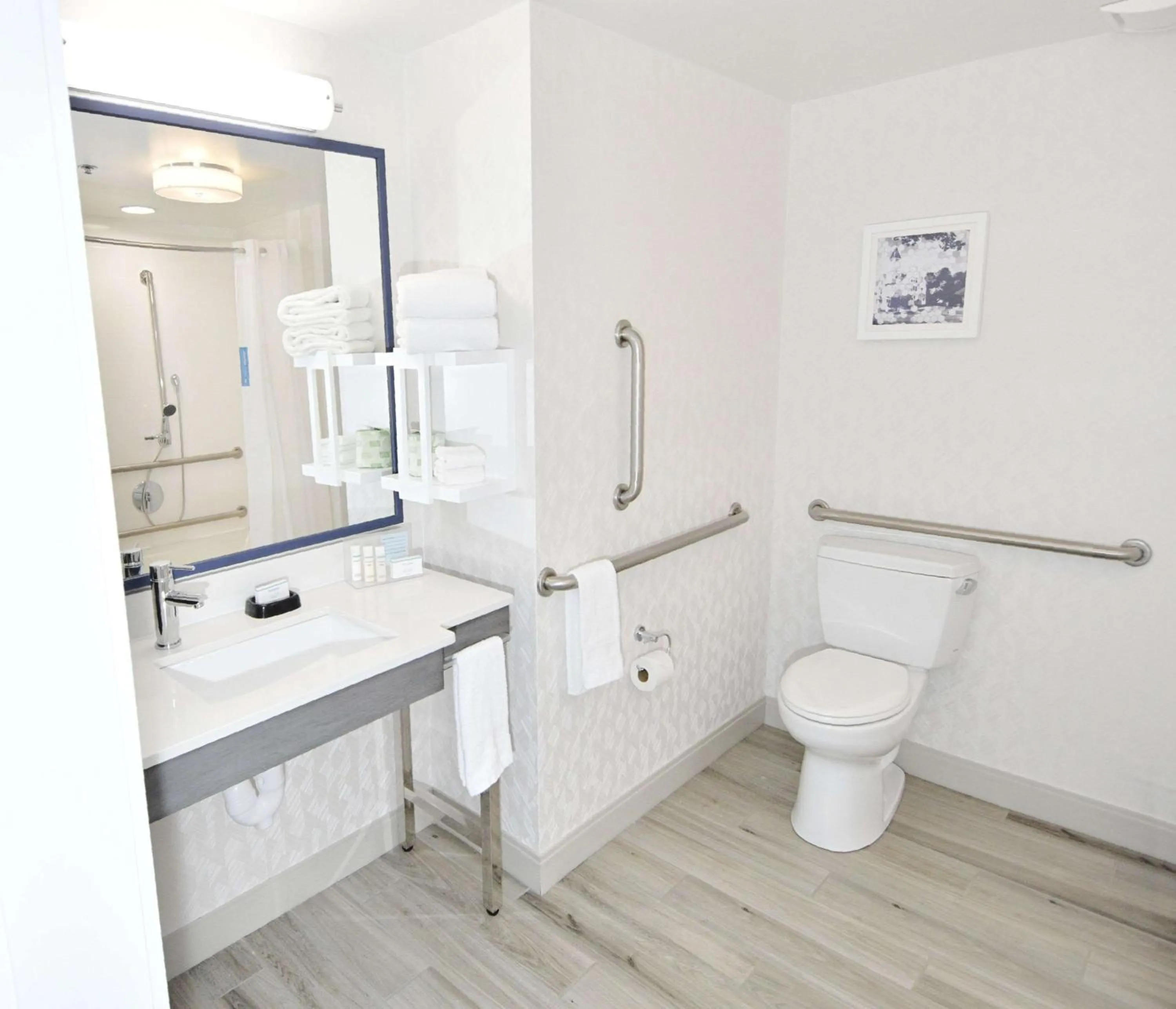 Bathroom in Hampton Inn Auburn