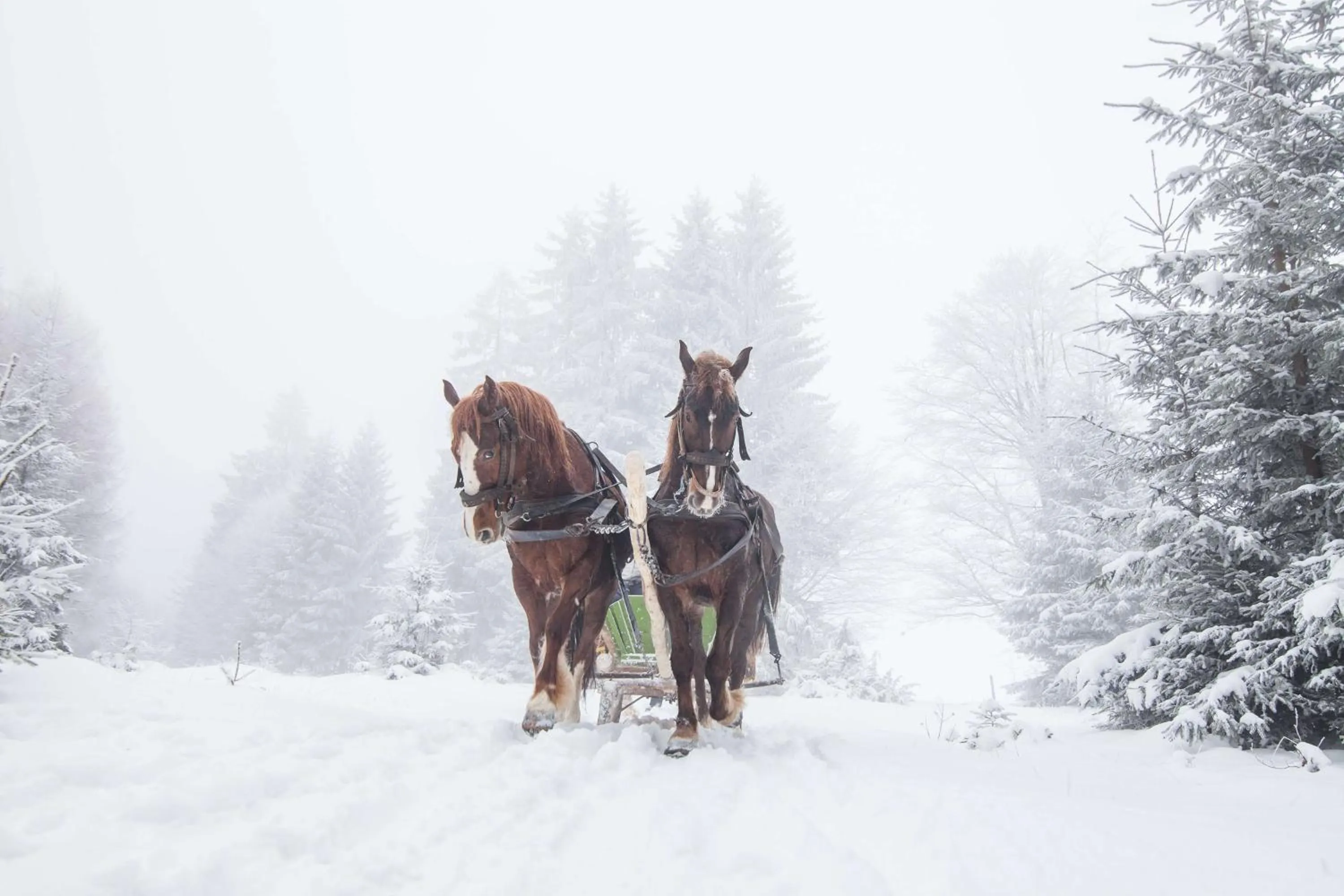 Property building in Waldorf Astoria Park City