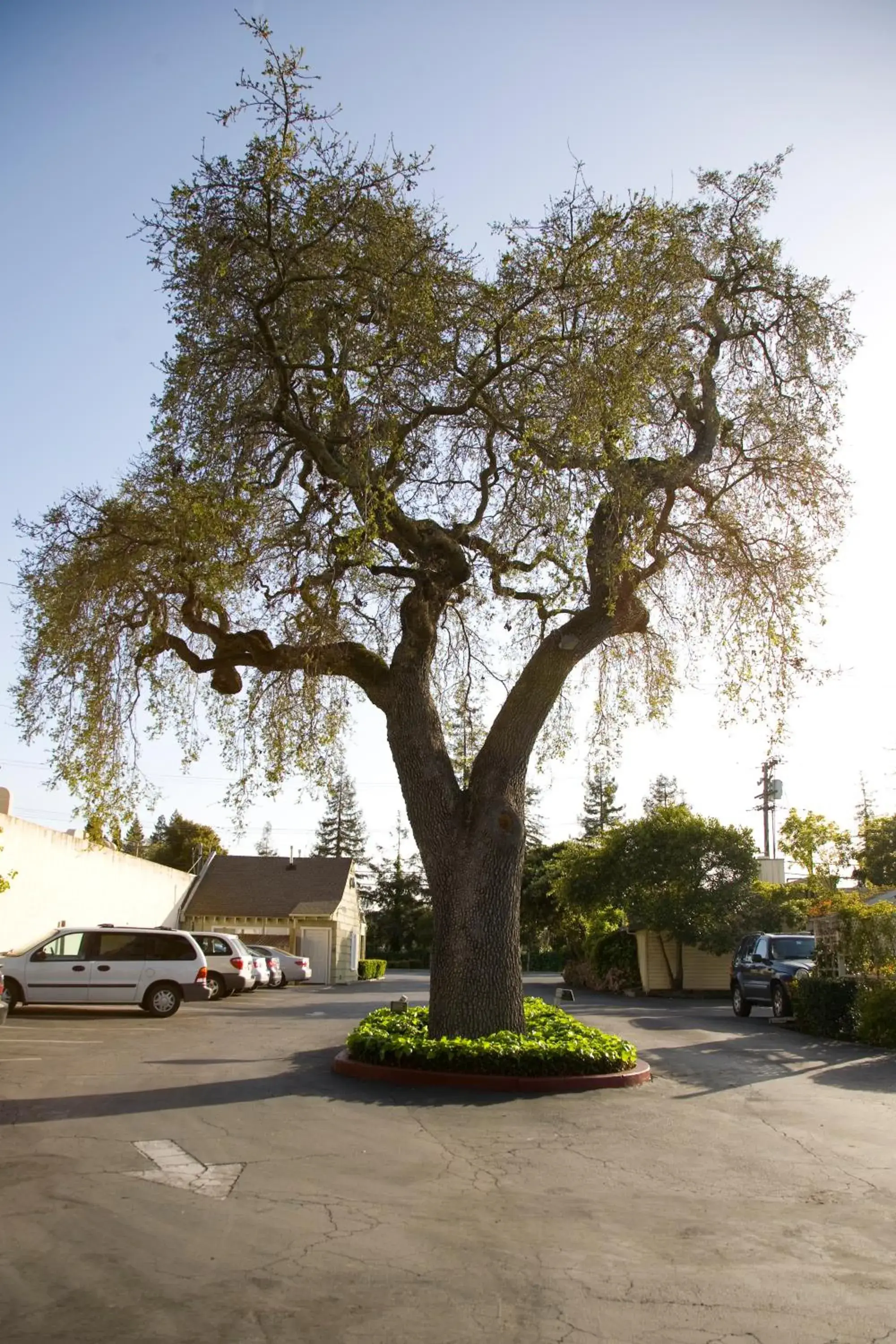 Facade/entrance in The Cottages Hotel Facade/entrance in The Cottages Hotel