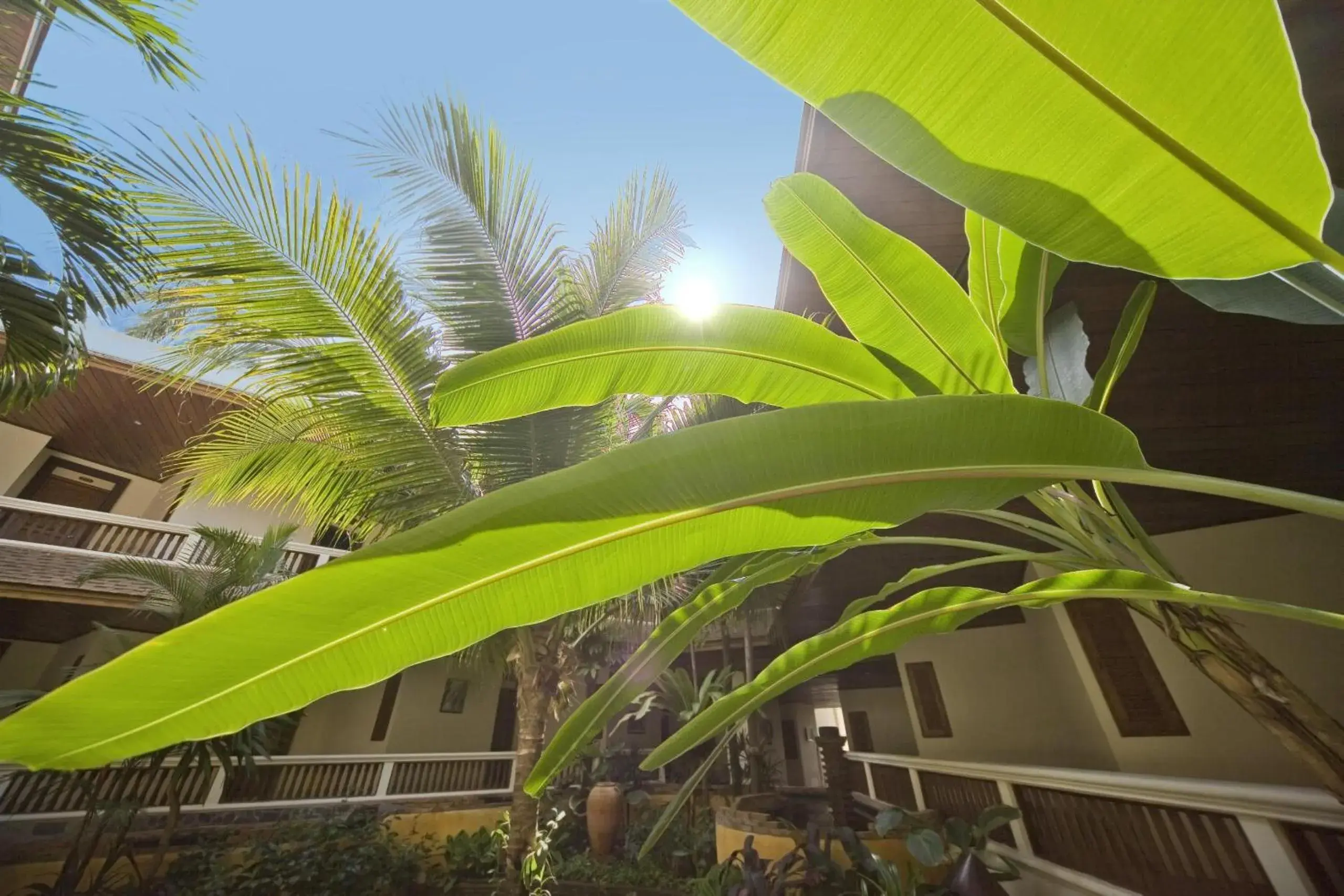 View (from property/room) in Thai House Beach Resort View (from property/room) in Thai House Beach Resort