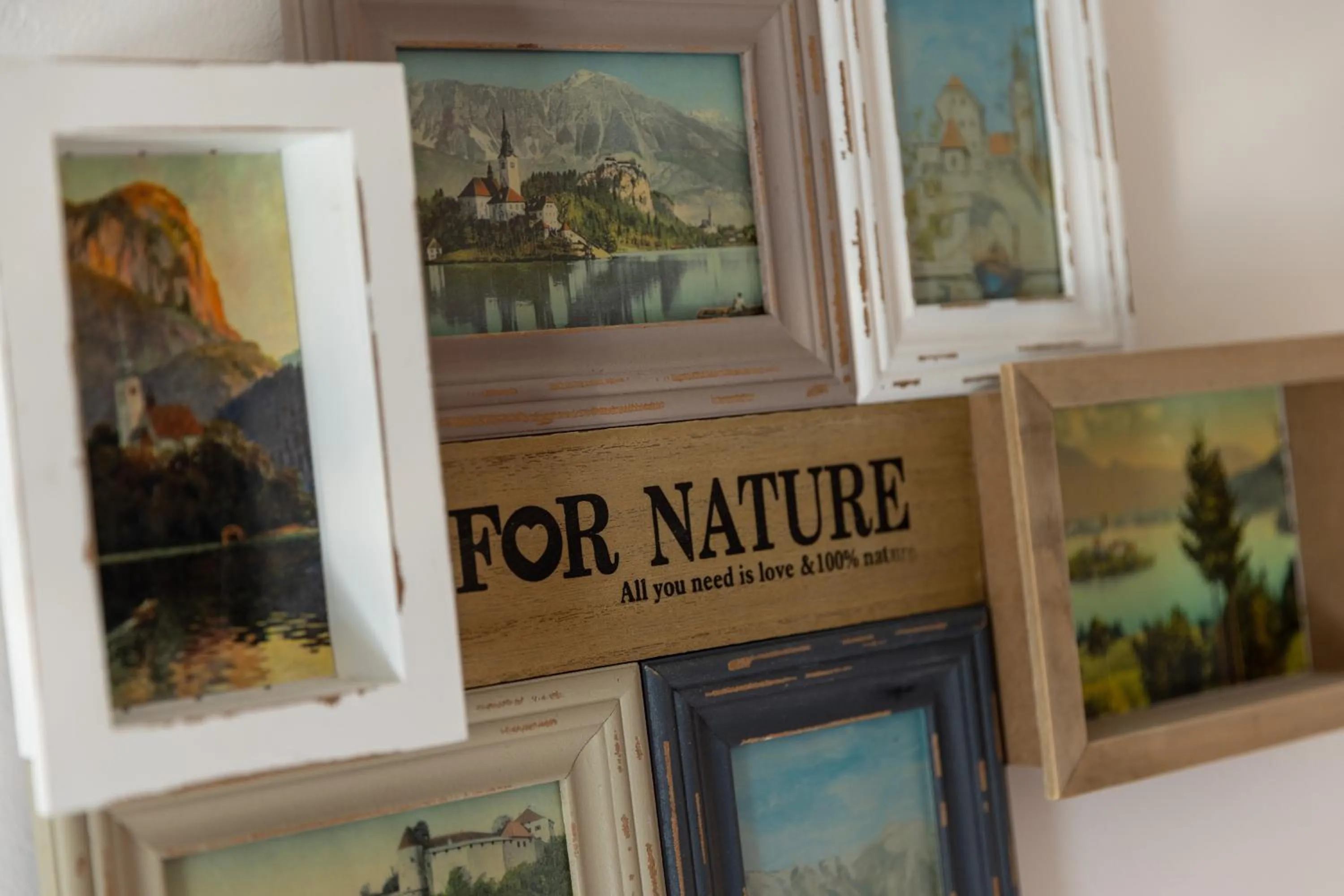 Decorative detail in Central Bled House