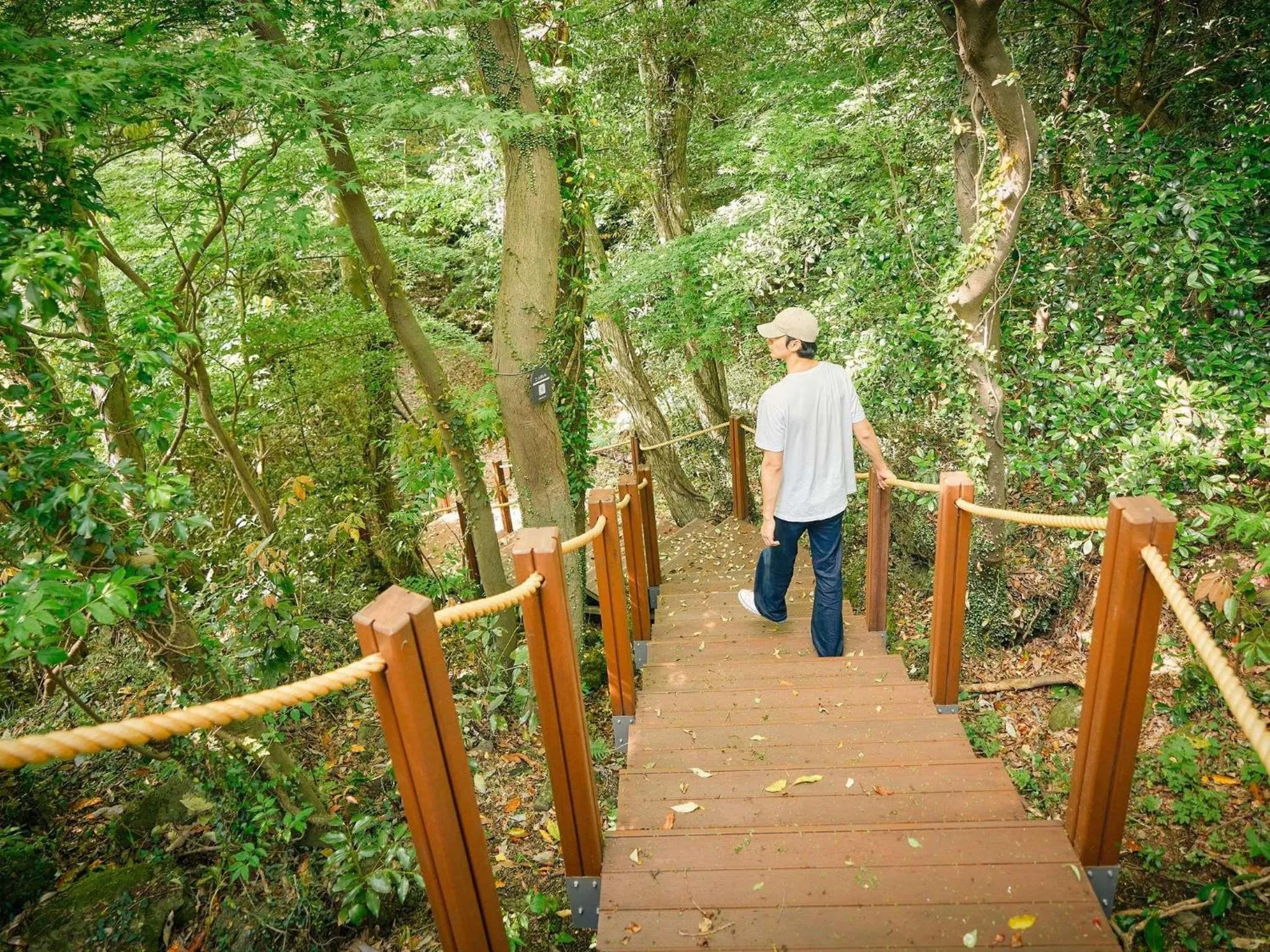 Other in Mercure Ambassador Jeju