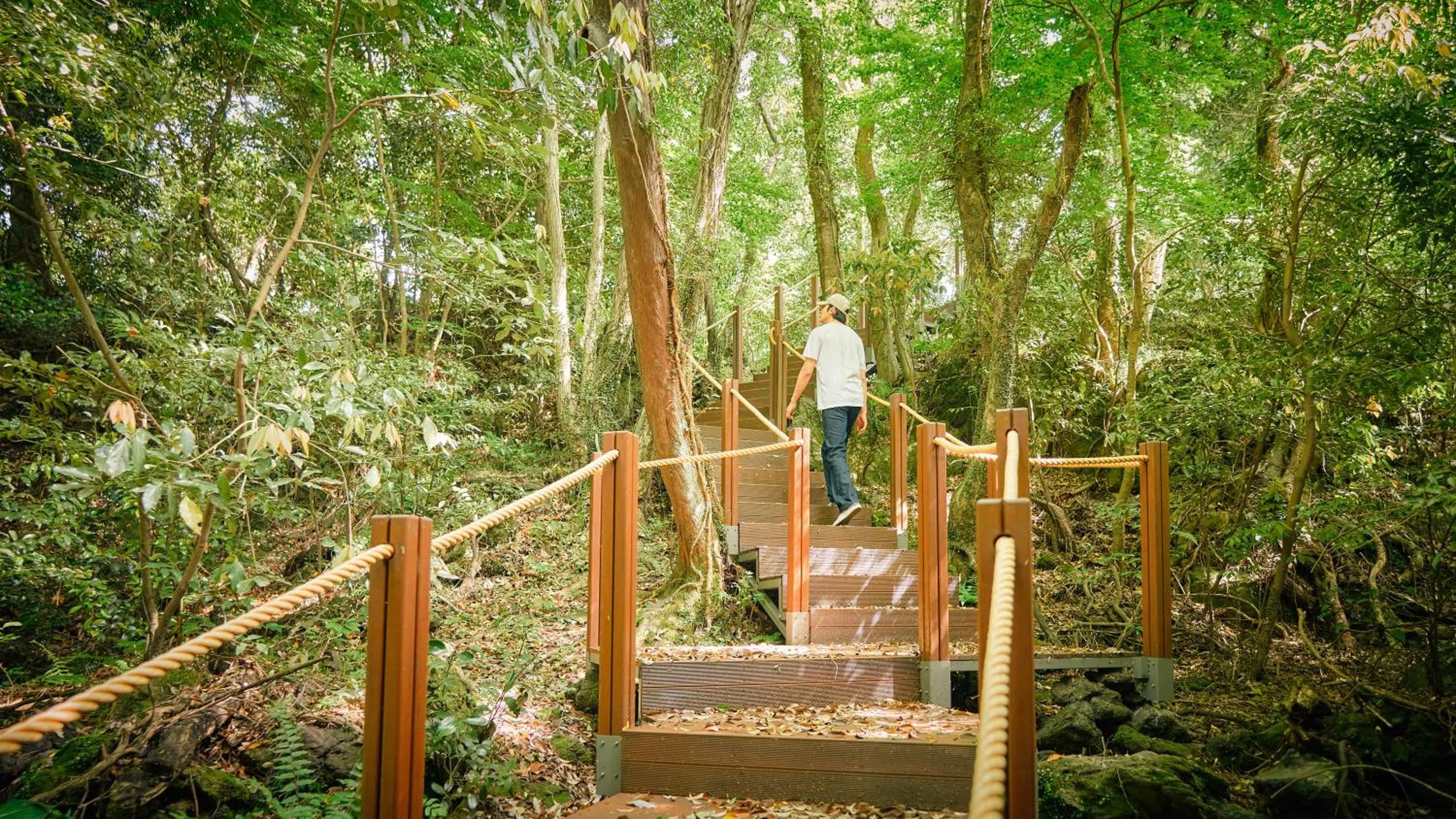 Garden in Mercure Ambassador Jeju