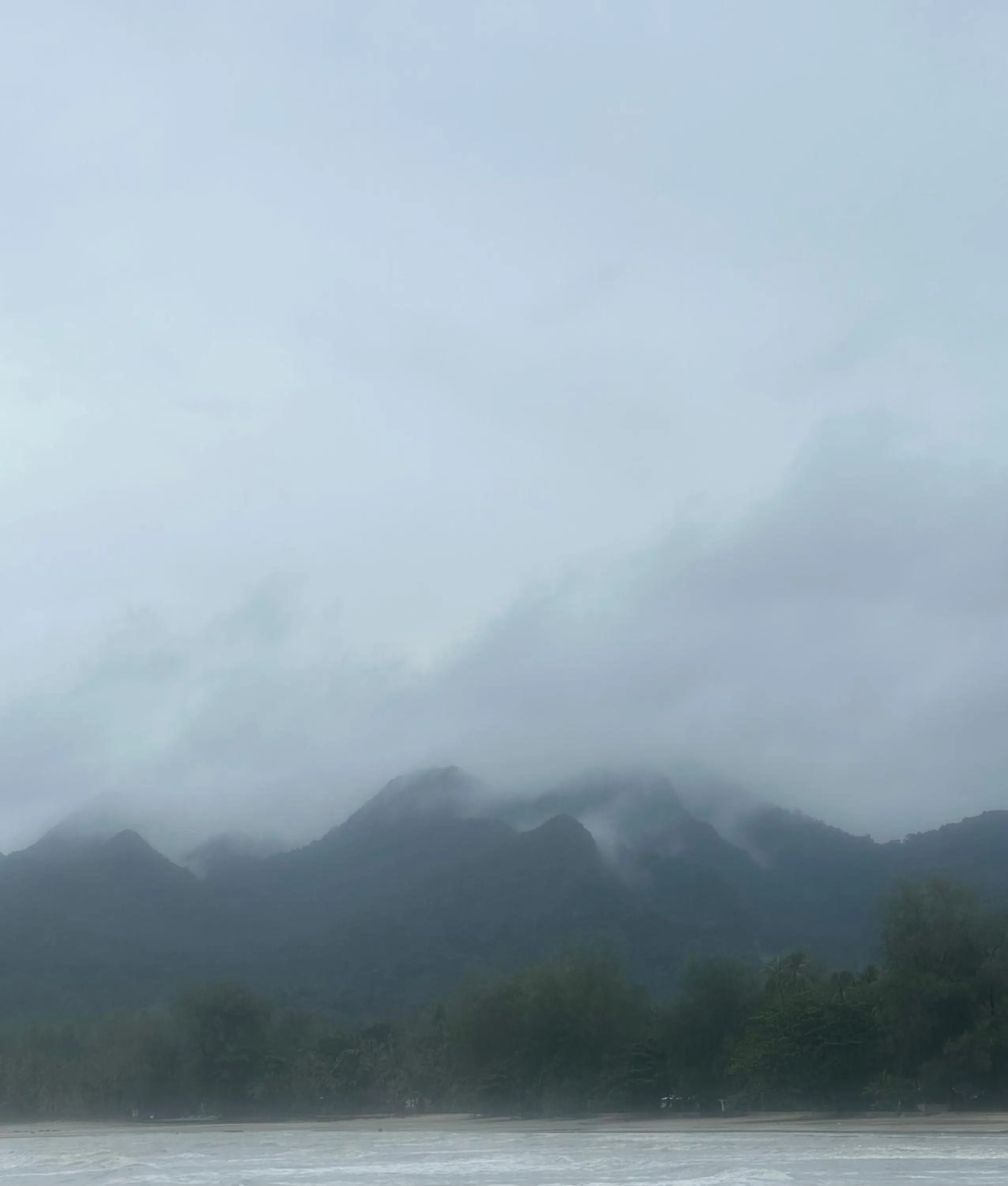 Natural landscape in LITTLE EDEN Bungalows