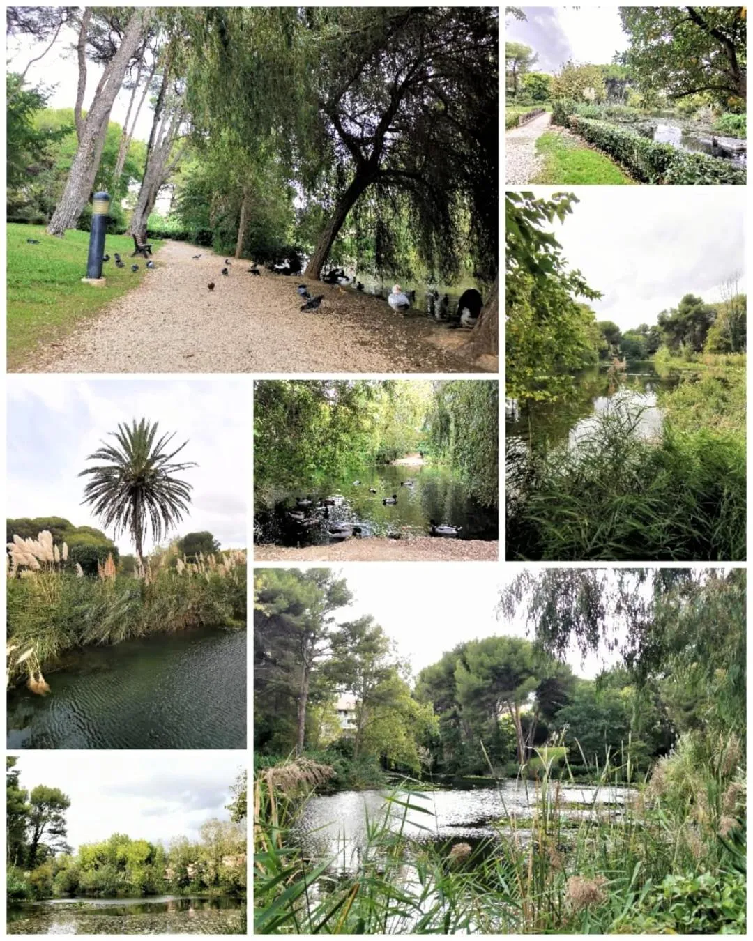 Garden in Les rivages de Coudoulière