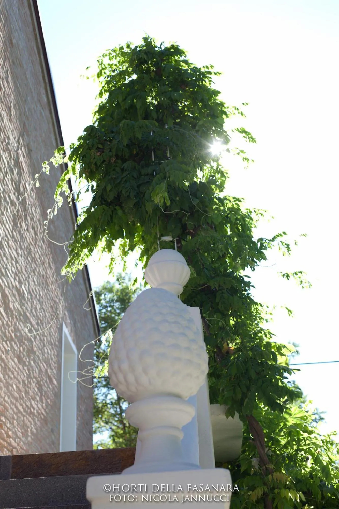 Garden in Horti Della Fasanara