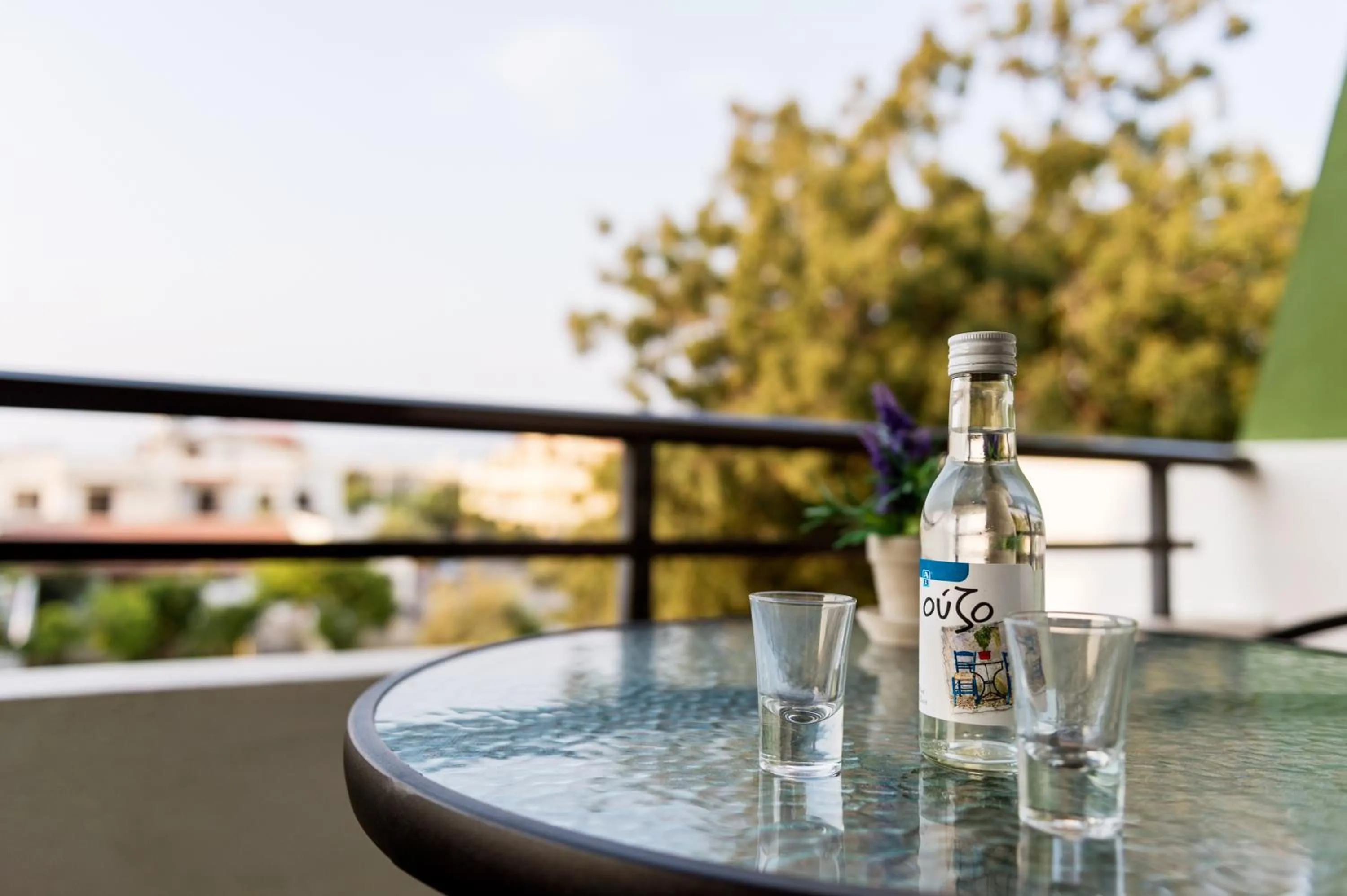 Balcony/Terrace in Terinikos Sunny Garden Hotel & Junior Suites