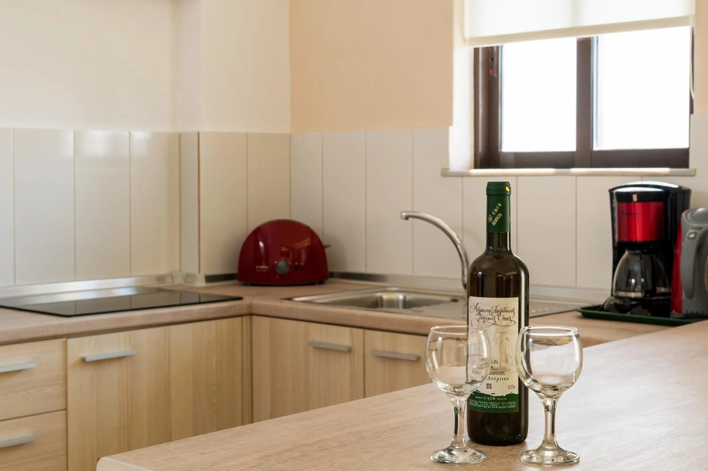 Kitchen or kitchenette in Terinikos Sunny Garden Hotel & Junior Suites