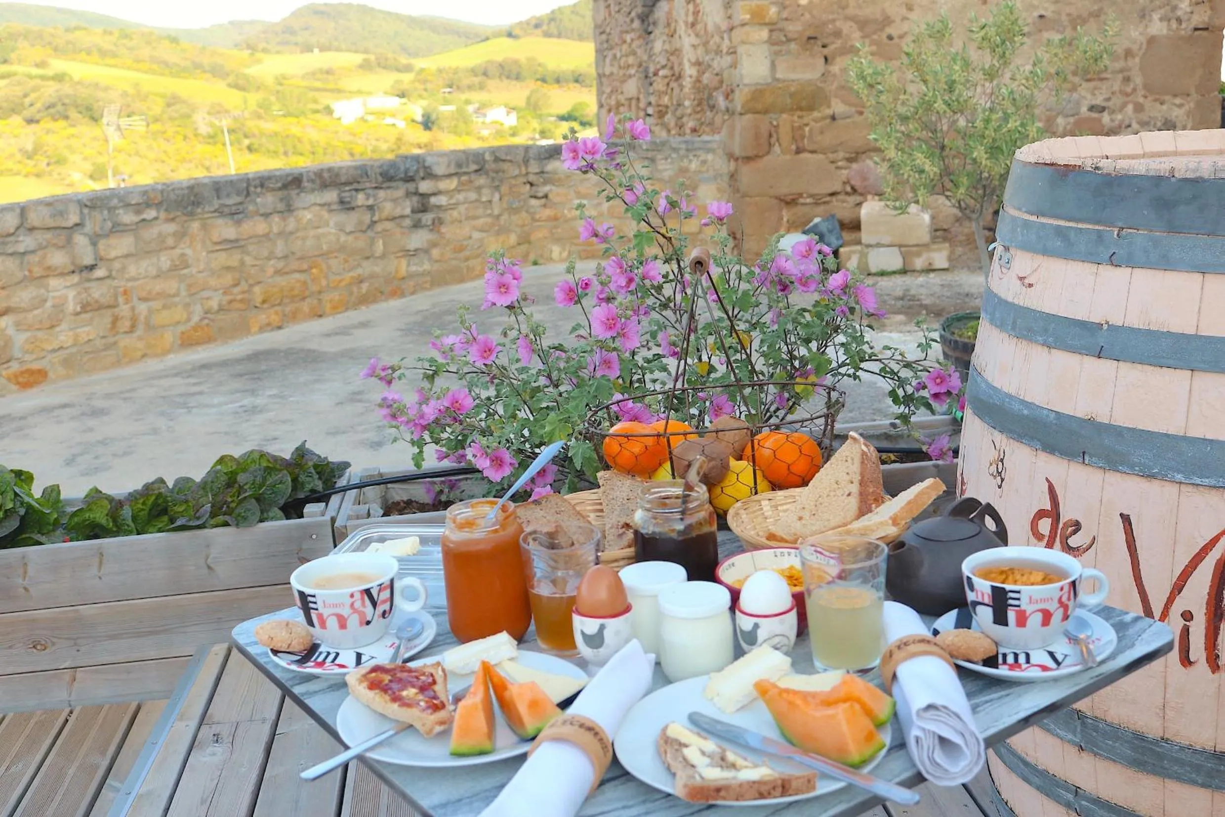 Au Château de Villelongue B&B