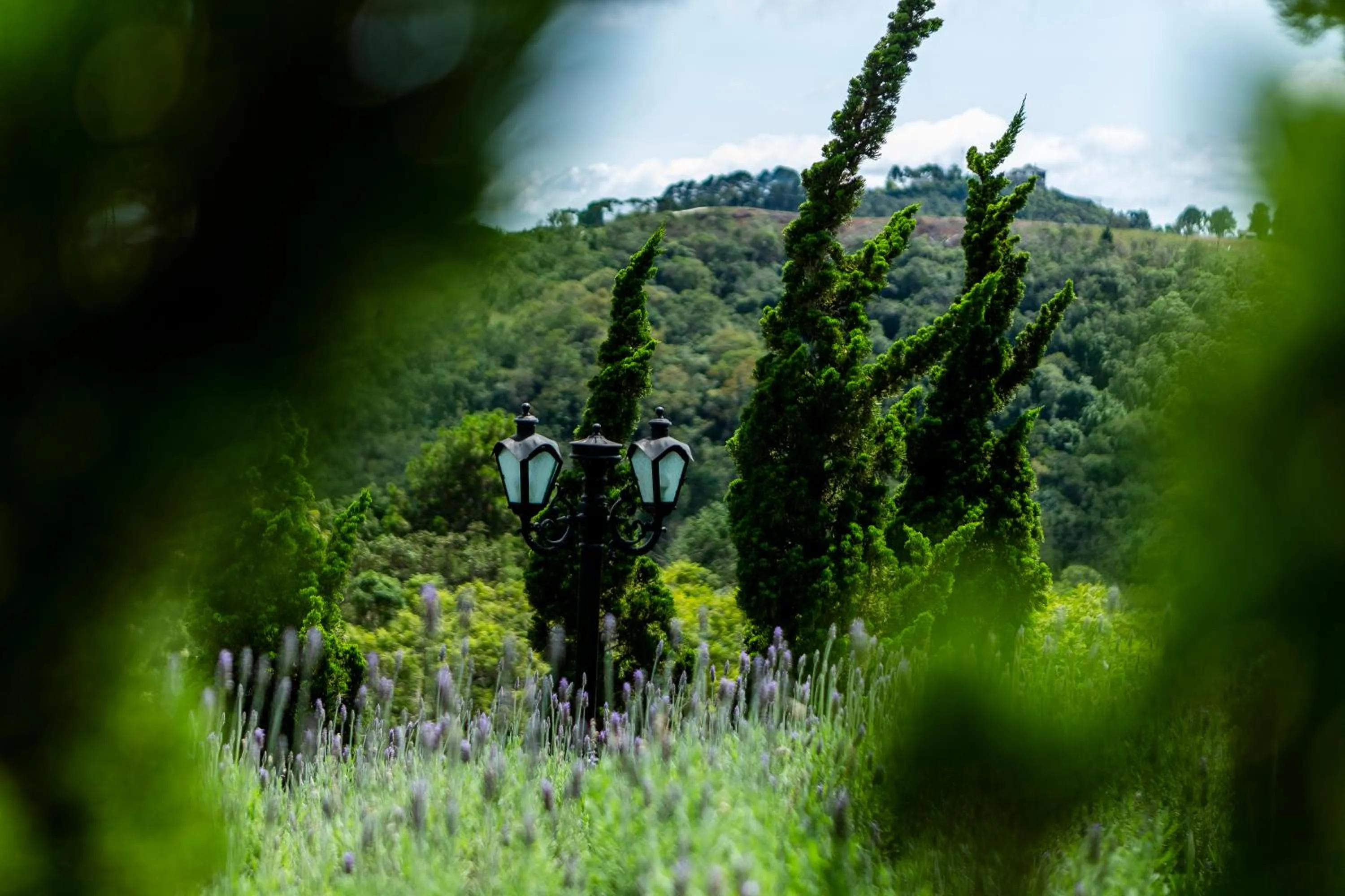 Natural landscape in Bendito Cacao Resort & Spa