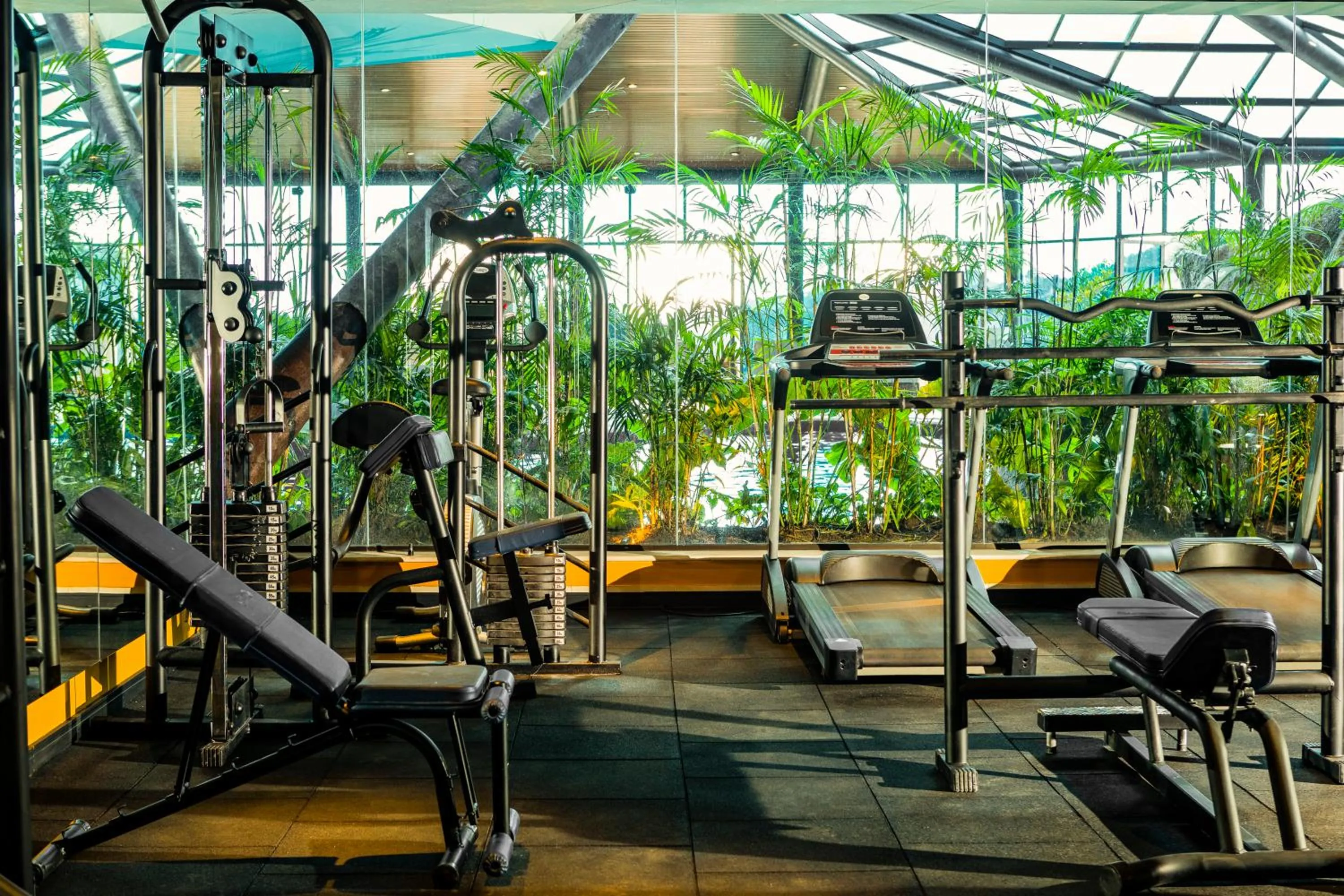 Fitness centre/facilities in Bendito Cacao Resort & Spa