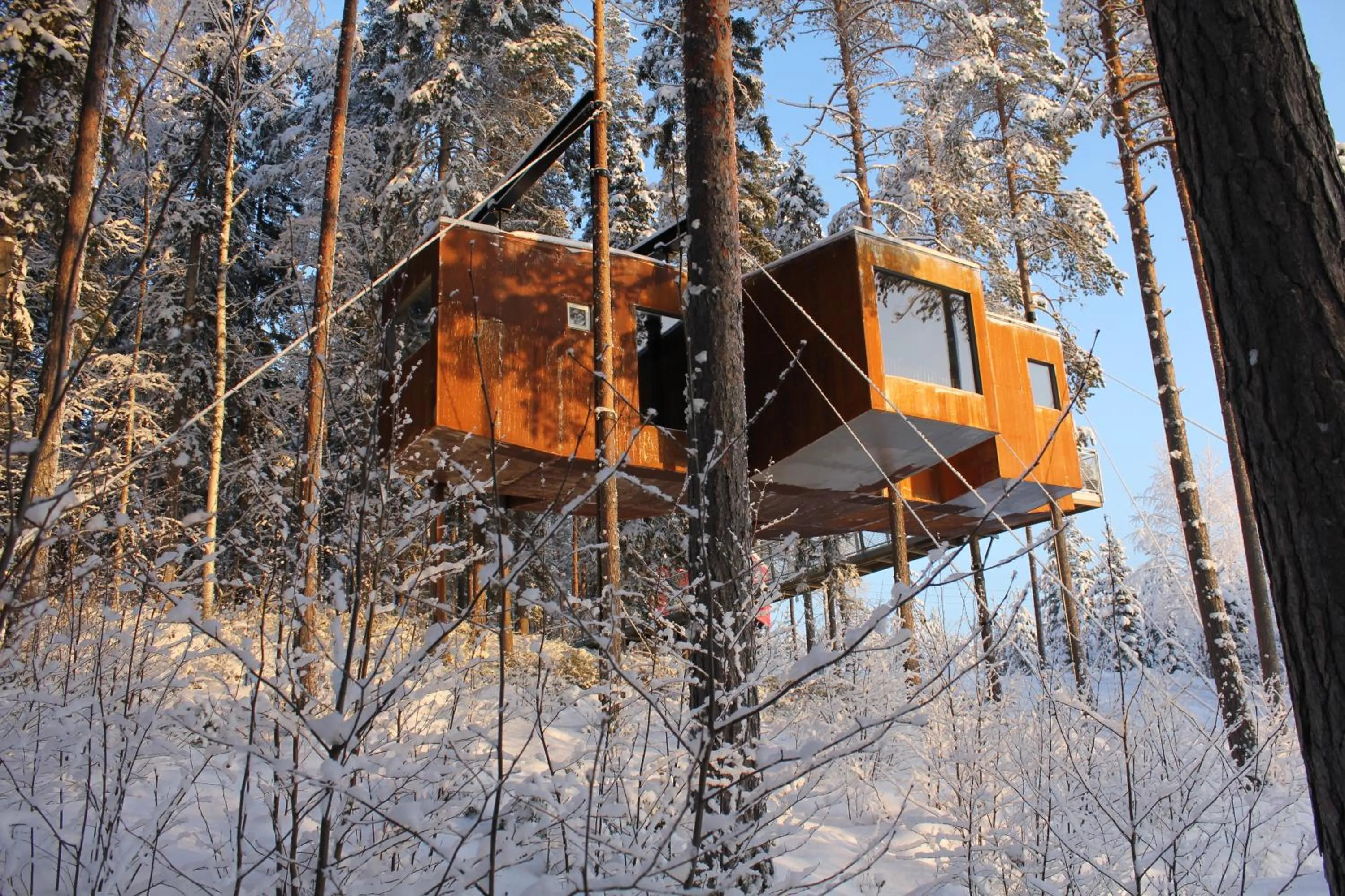 Winter in Treehotel