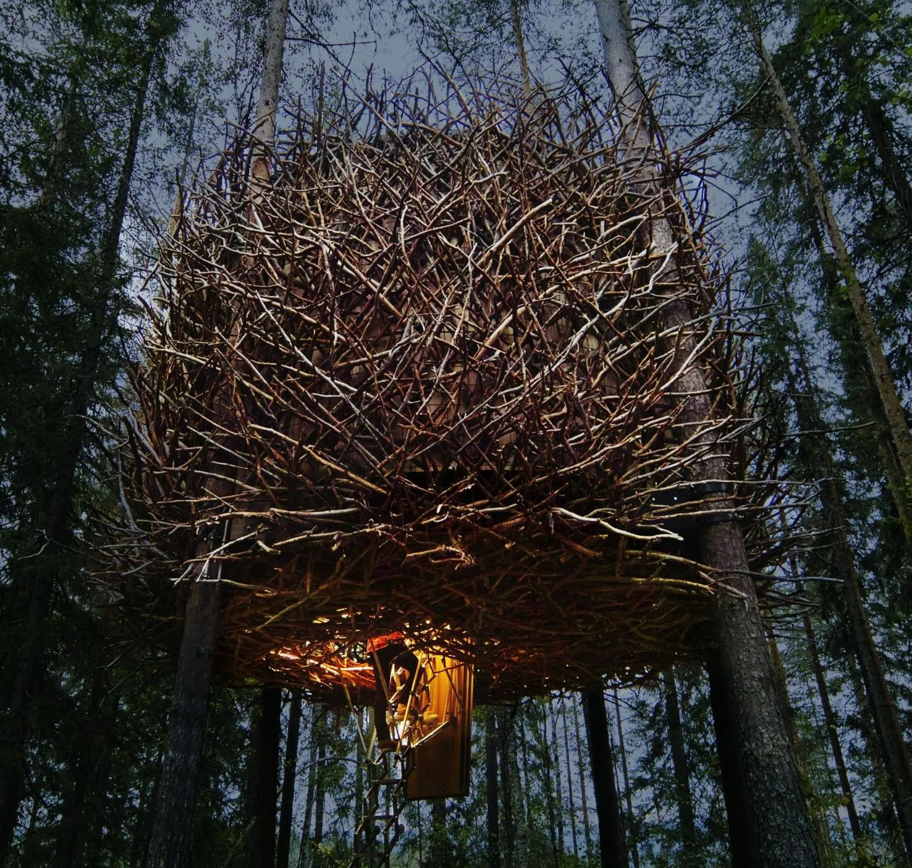 Facade/entrance in Treehotel