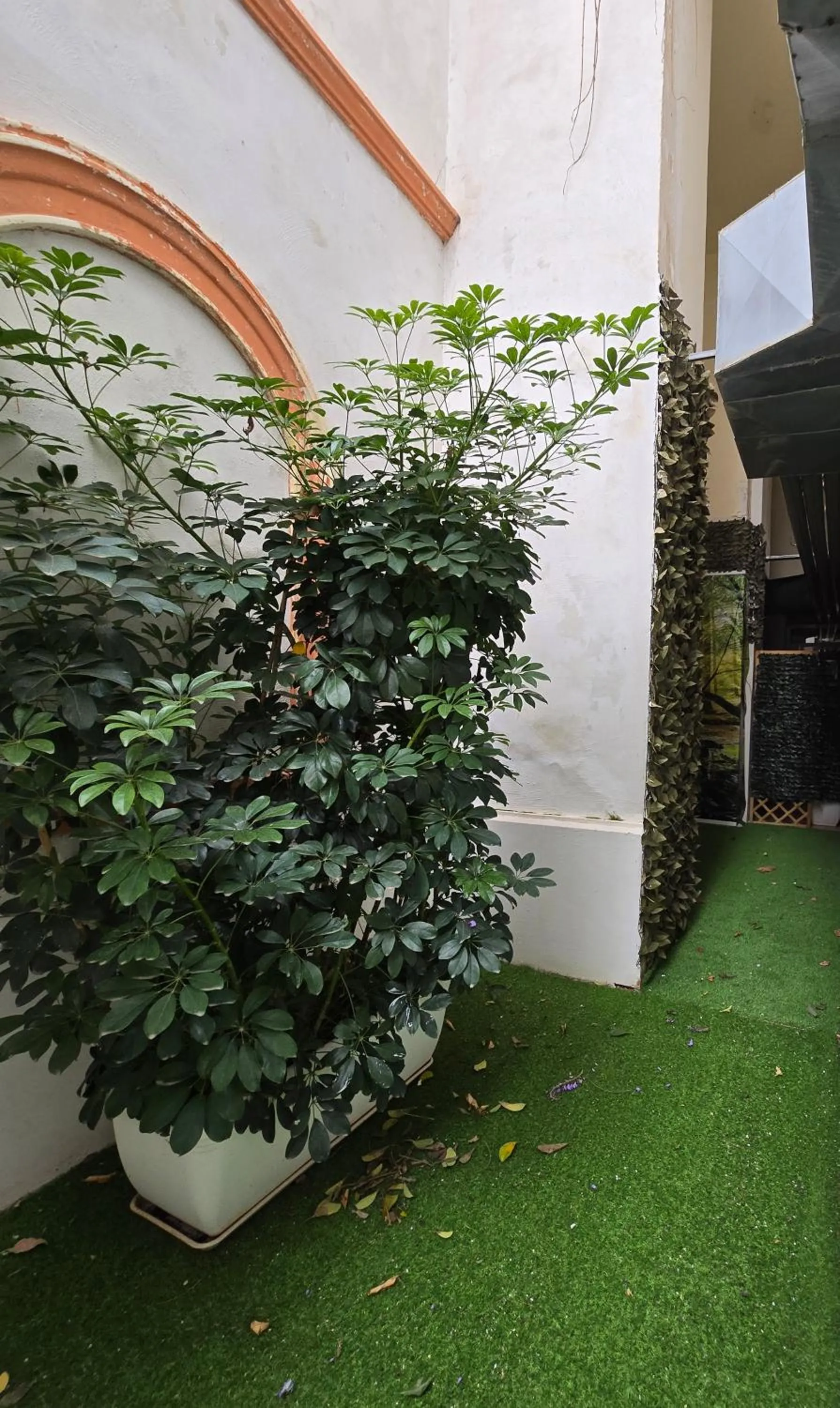 View (from property/room) in Hotel Il Nido Sorrento