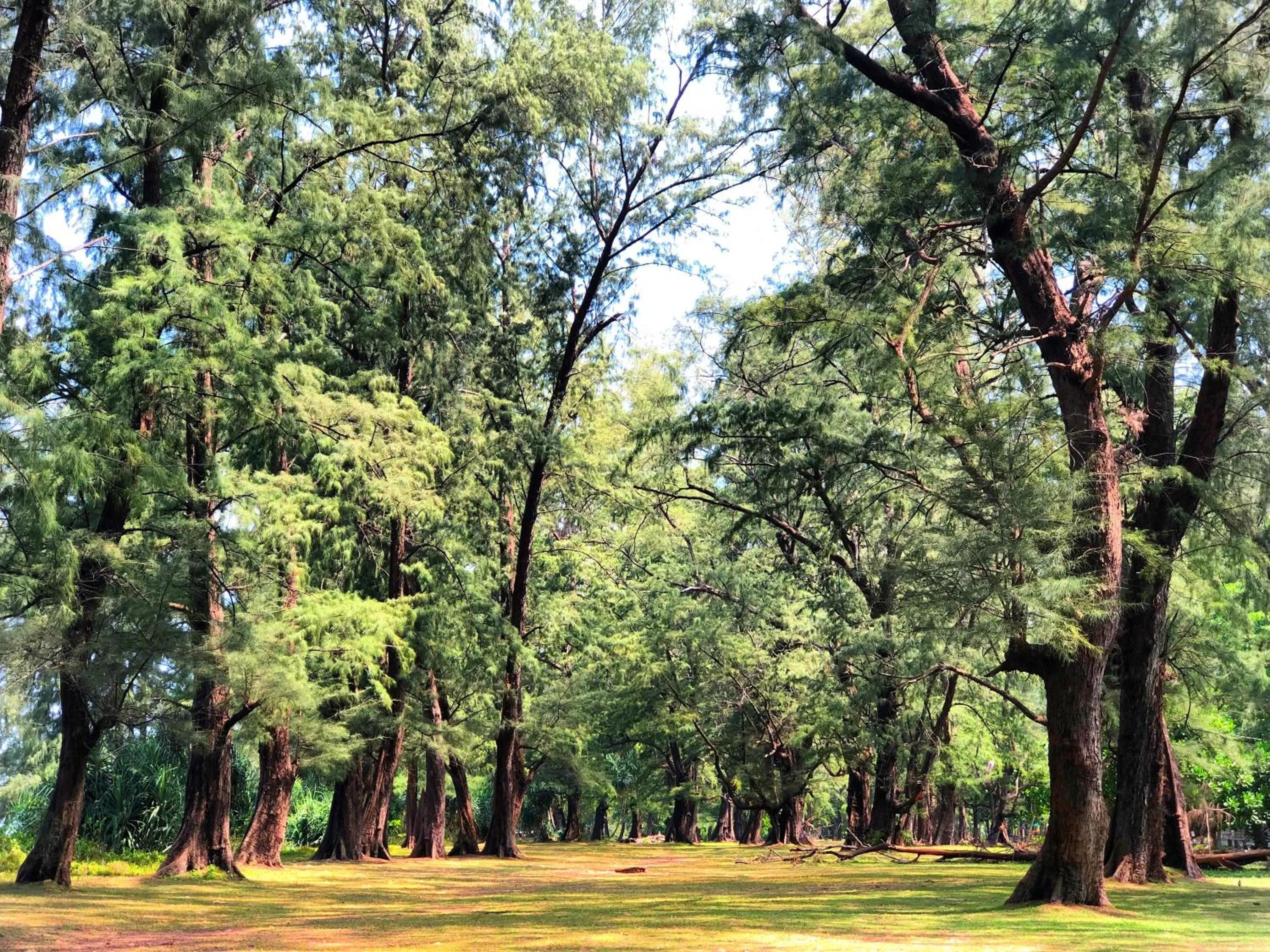 Nearby landmark in Dewa Phuket Resort & Villas