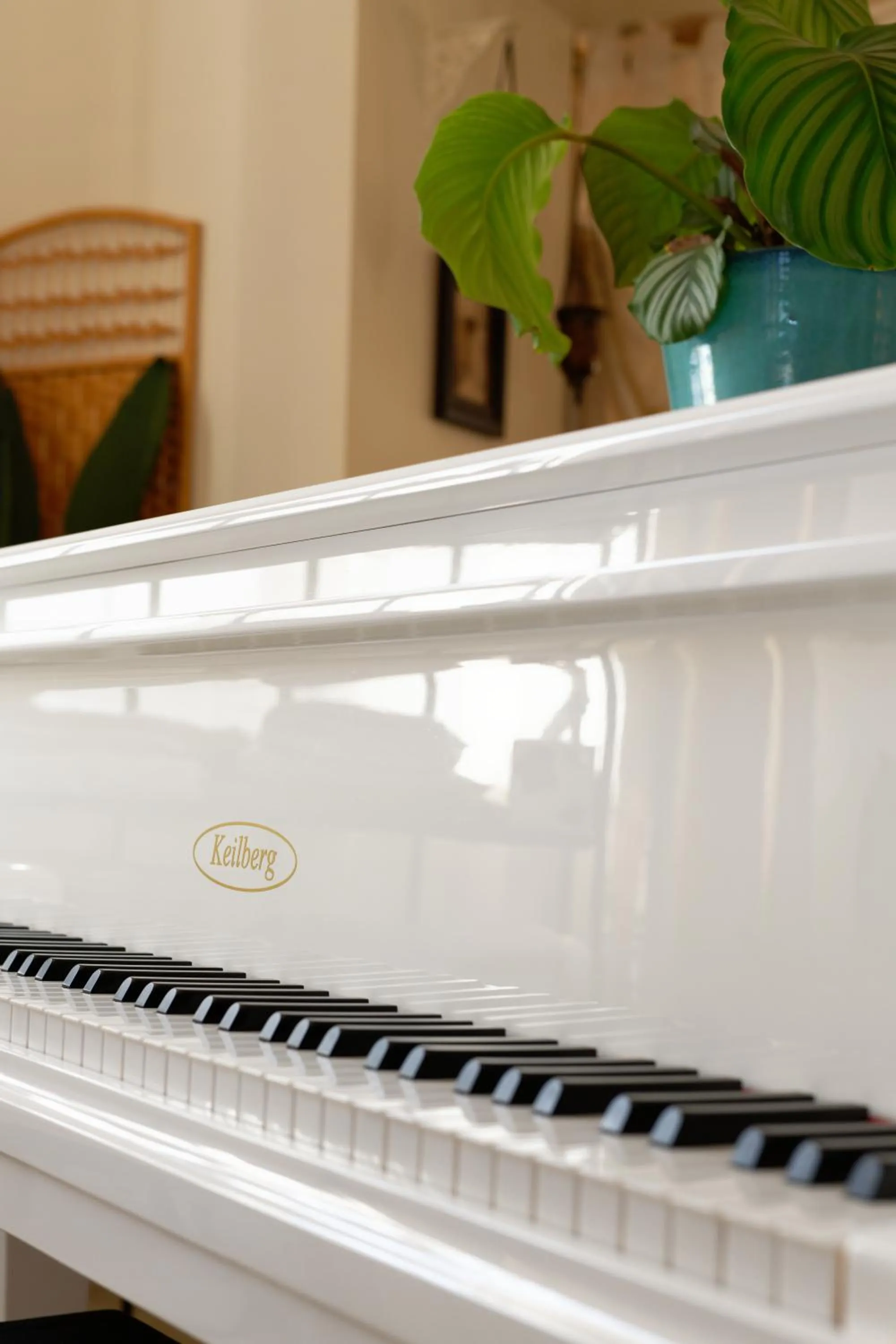 Area and facilities in The Corner Noirmoutier