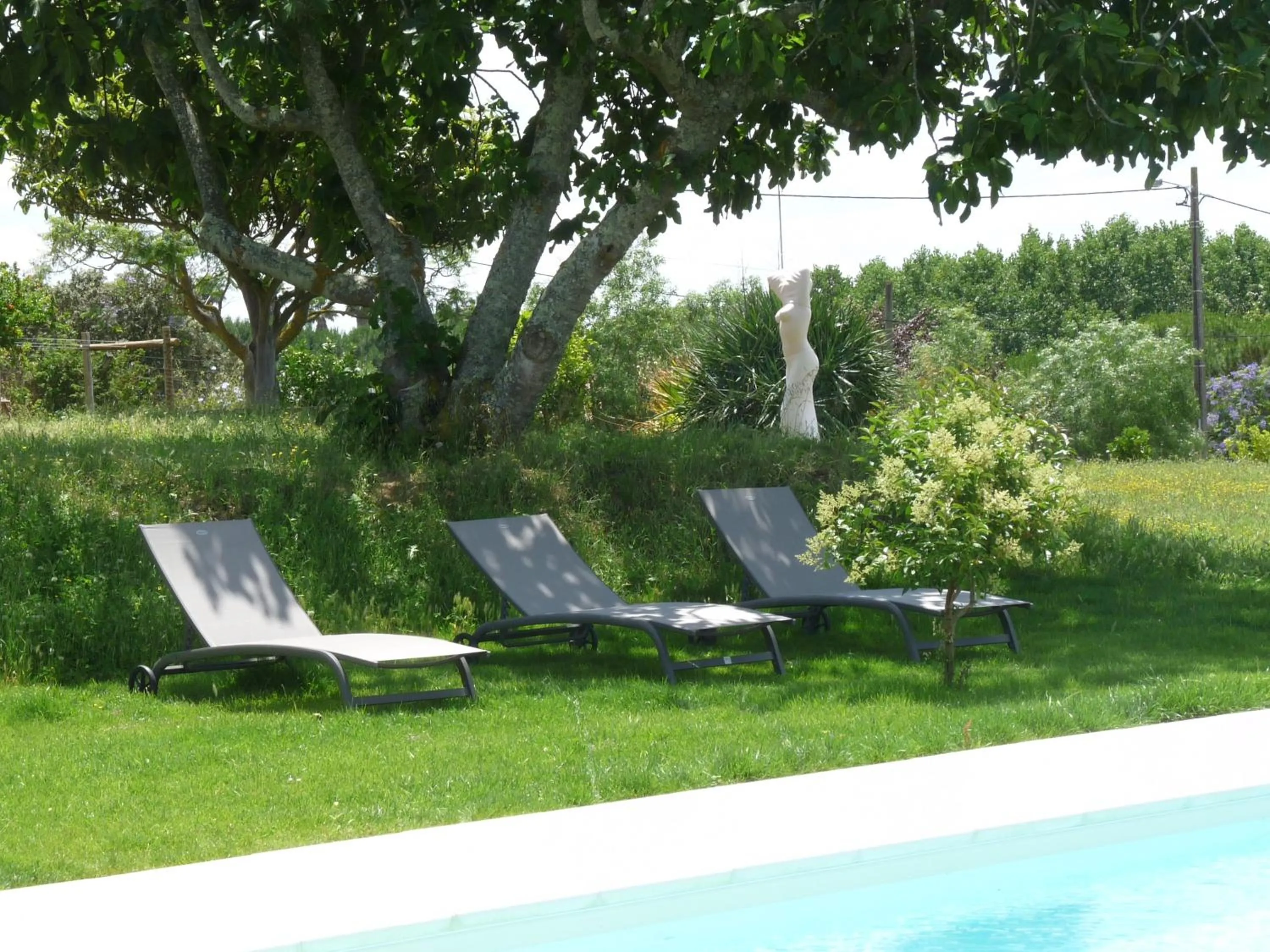 Swimming pool in MirArte