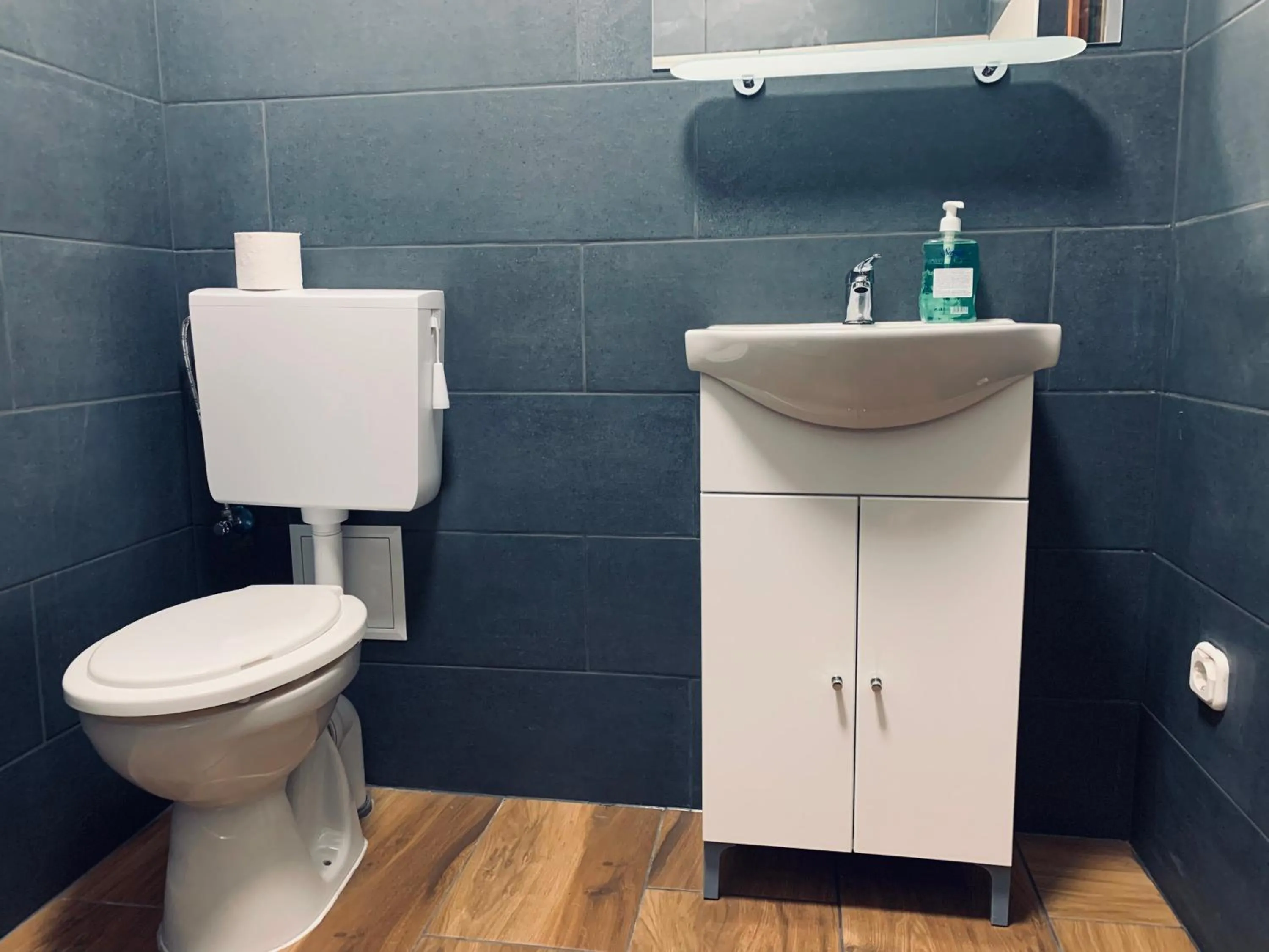 Bathroom in Williams Village Bowling & Country Club