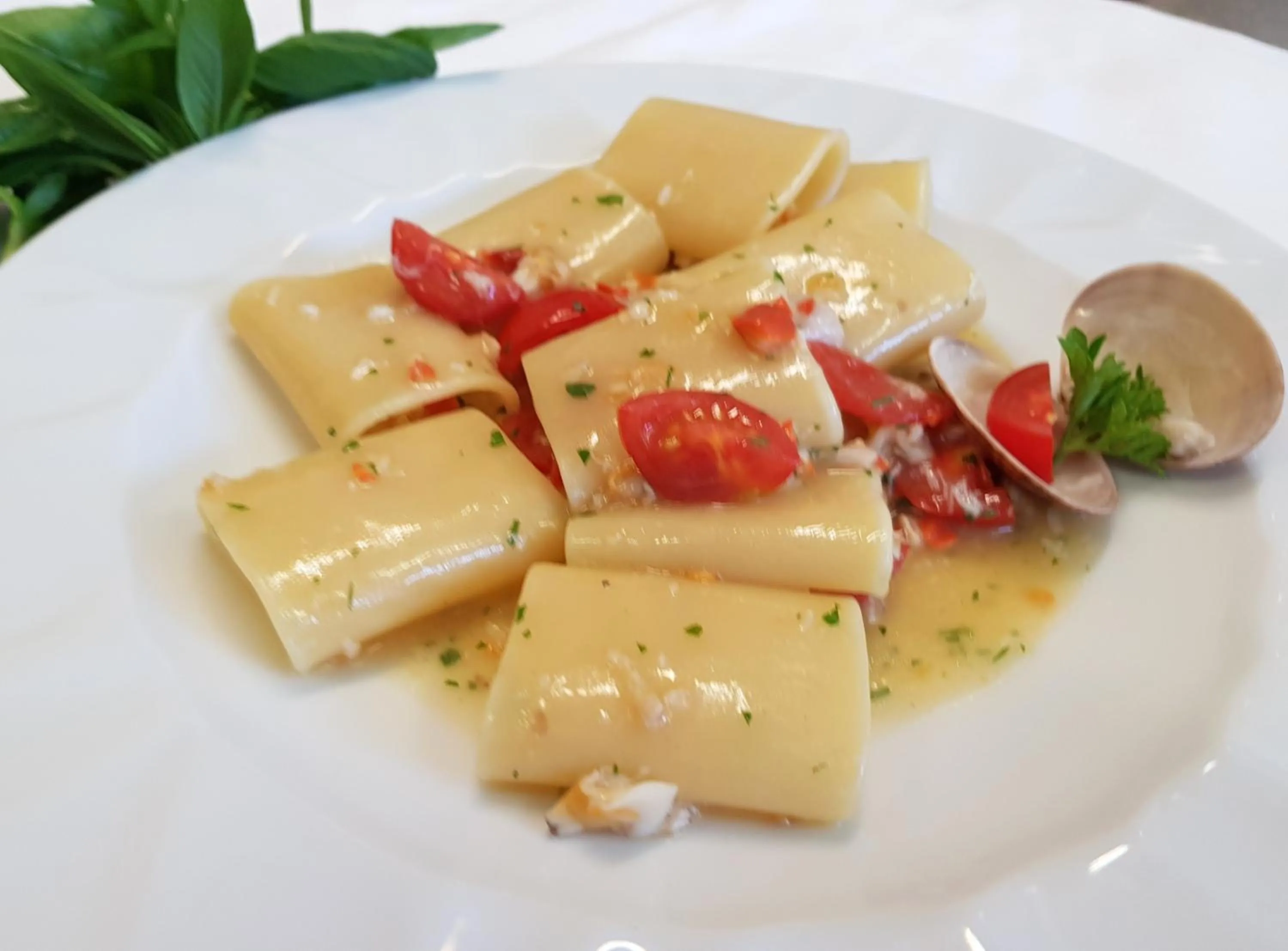 Food close-up in Hotel Helvetia