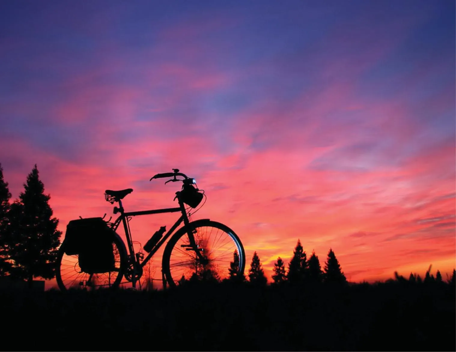 Cycling in Dusit Thani Laguna Phuket
