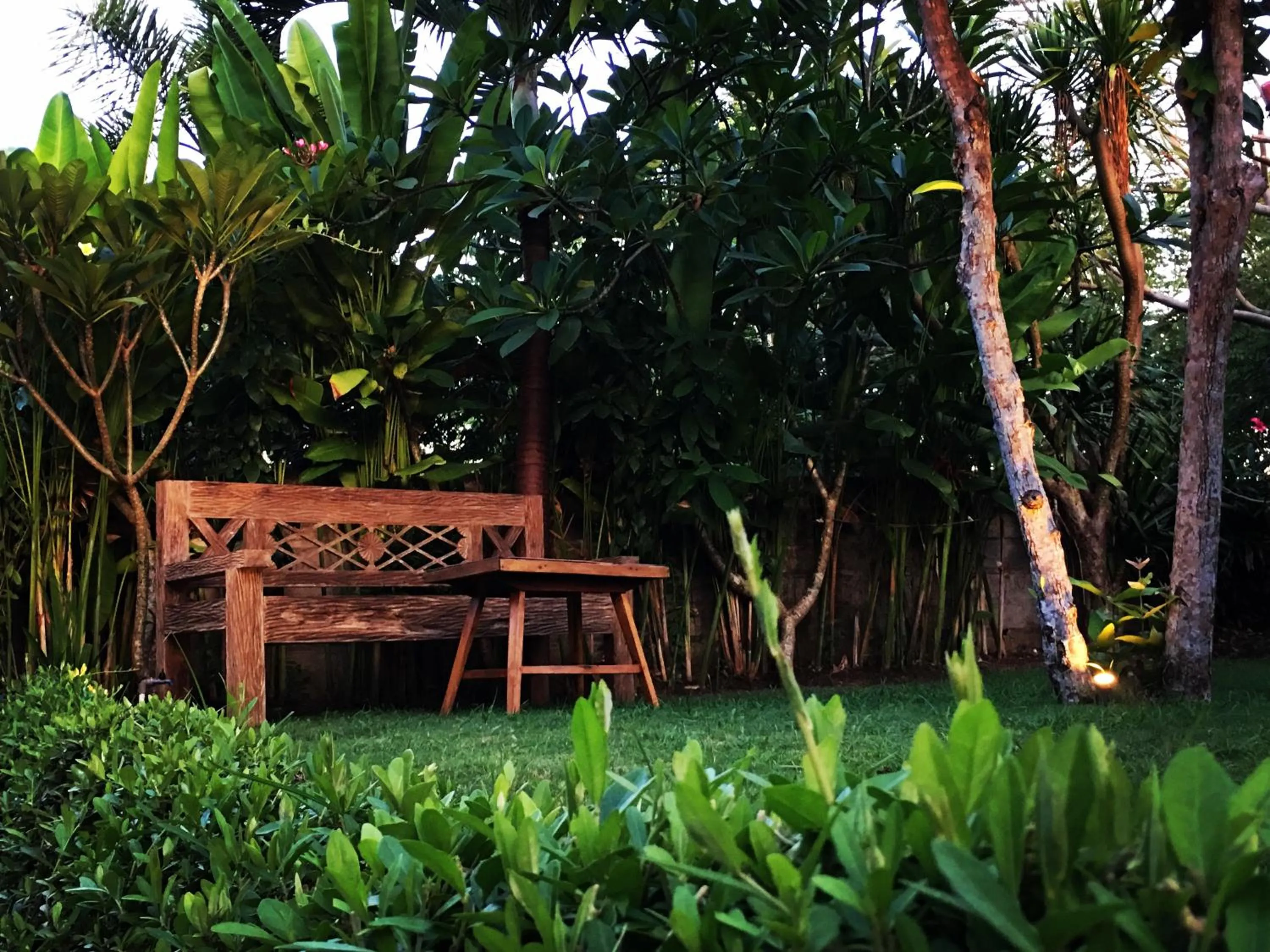 Garden in El Homestay Bali