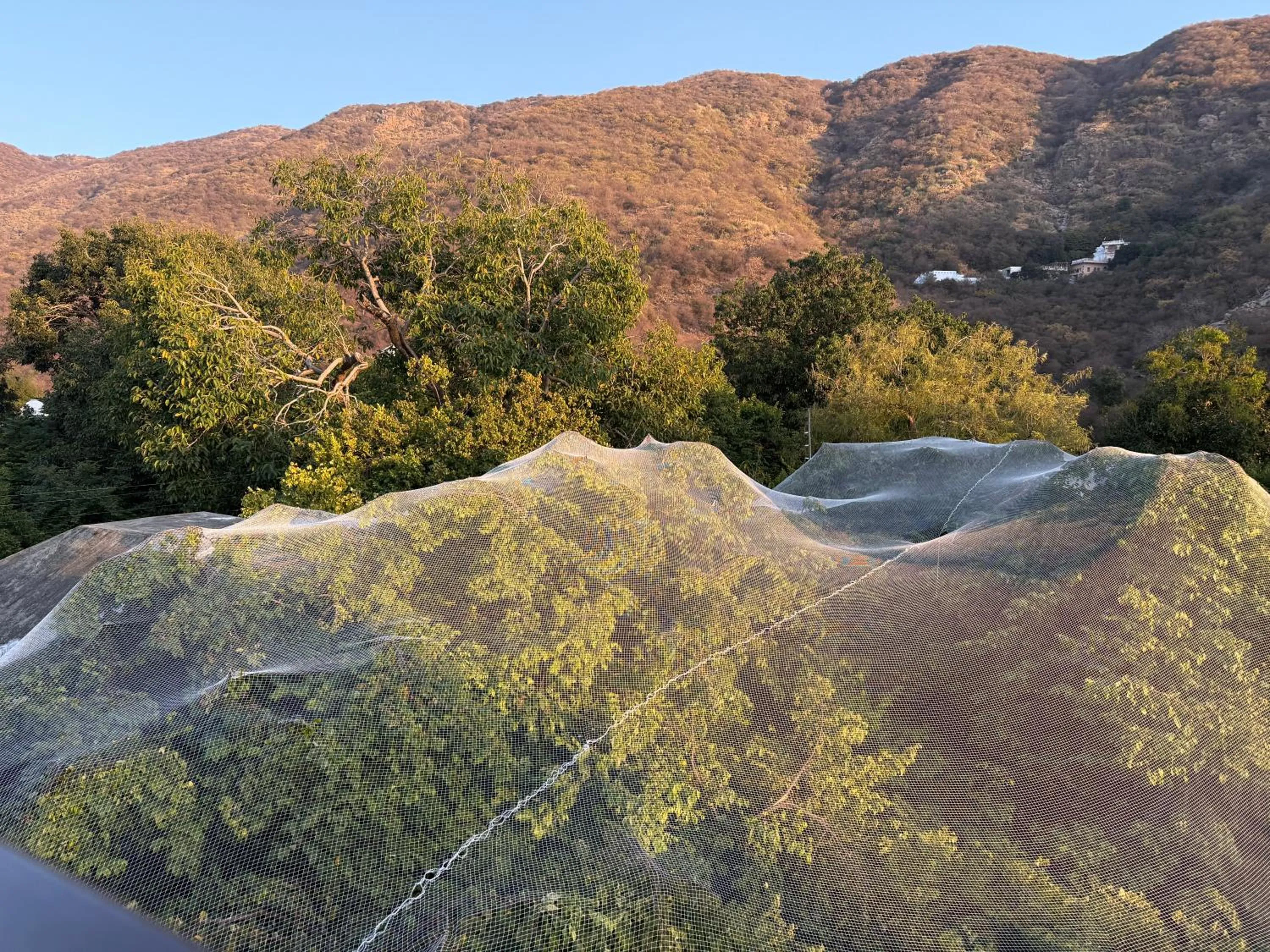 Hotel Green Heaven Resort