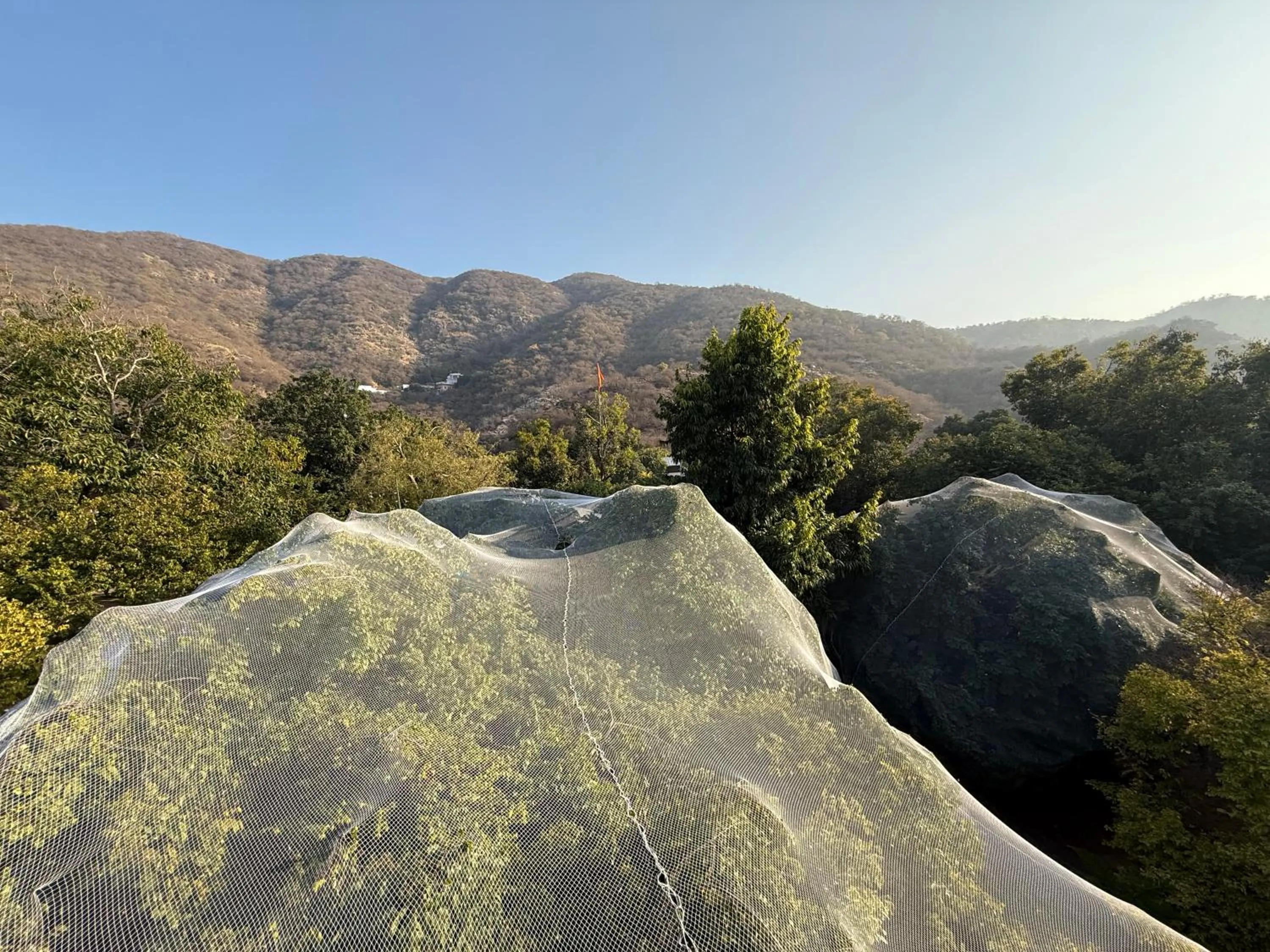 Hotel Green Heaven Resort