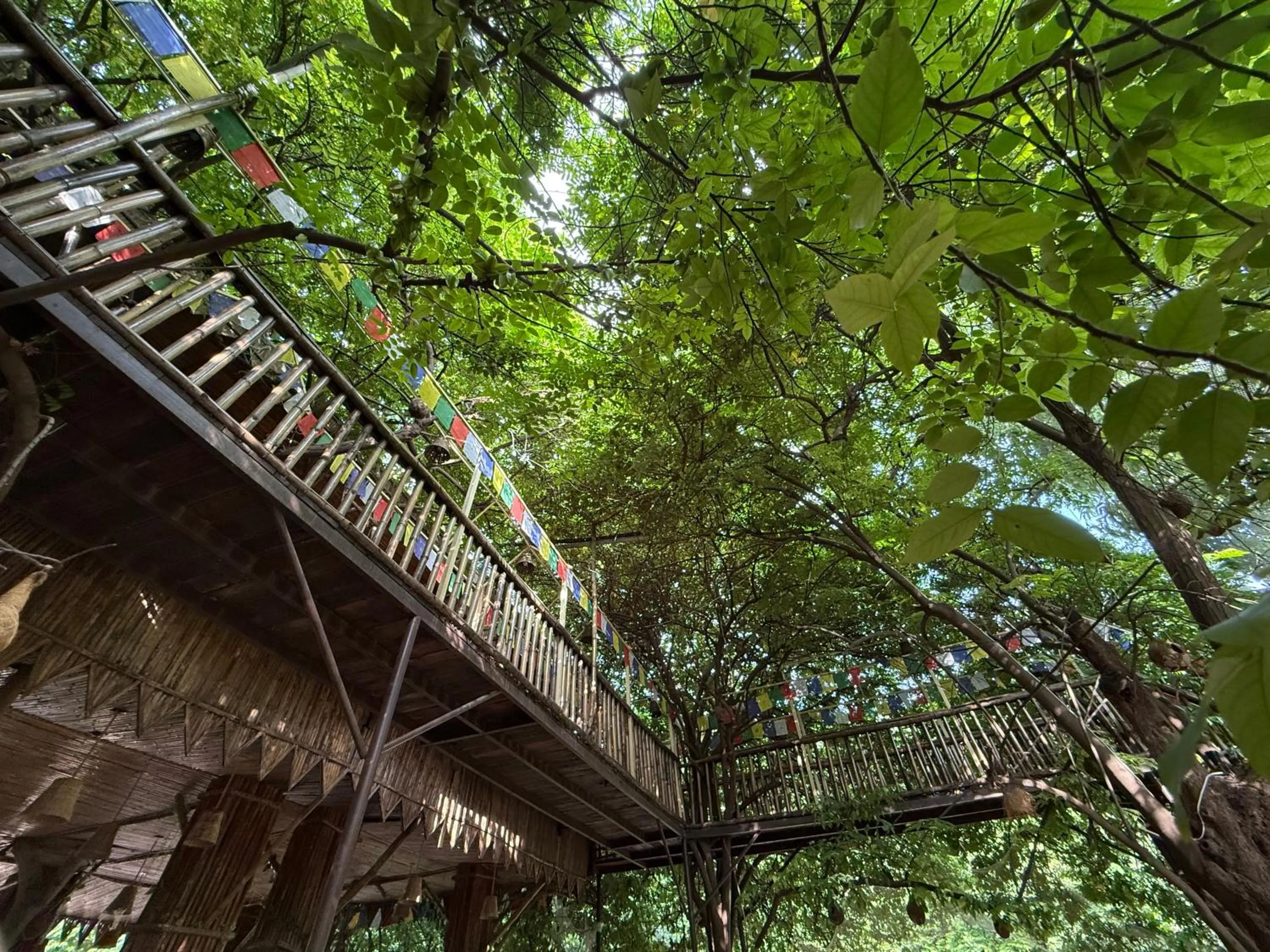 Hotel Green Heaven Resort