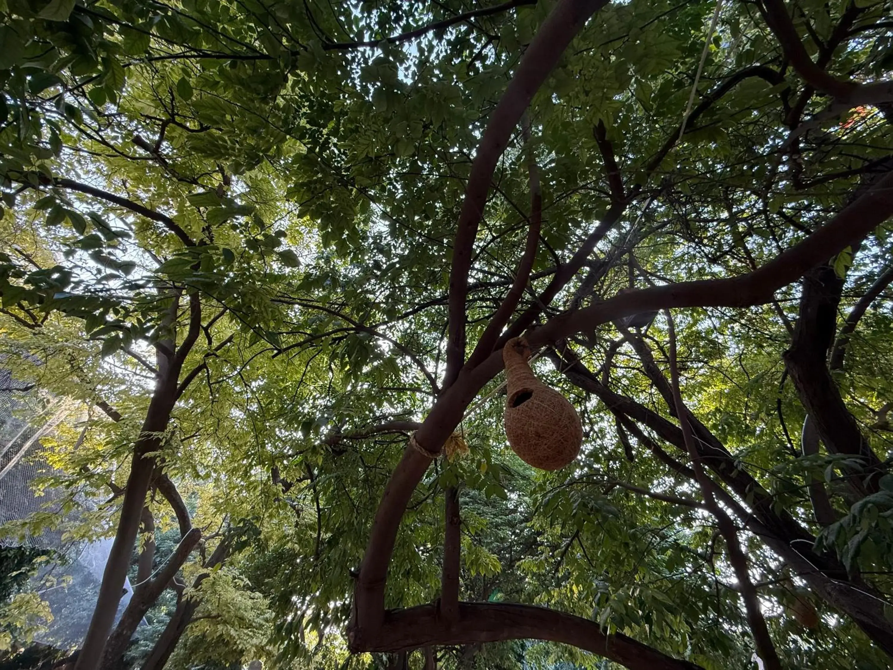 Apartment with Garden View in Hotel Green Heaven Resort Apartment with Garden View in Hotel Green Heaven Resort