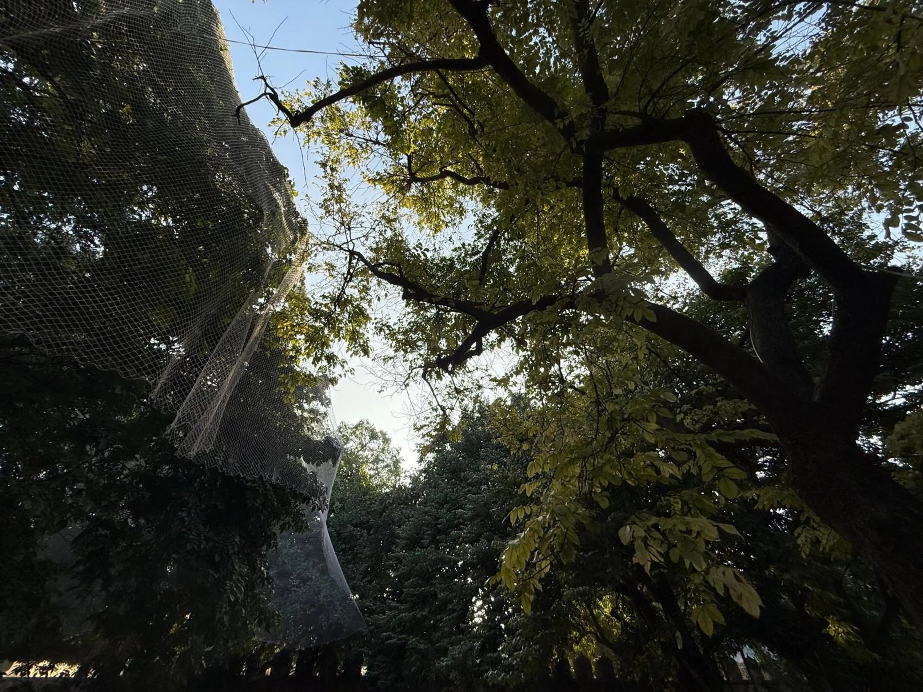 Hotel Green Heaven Resort