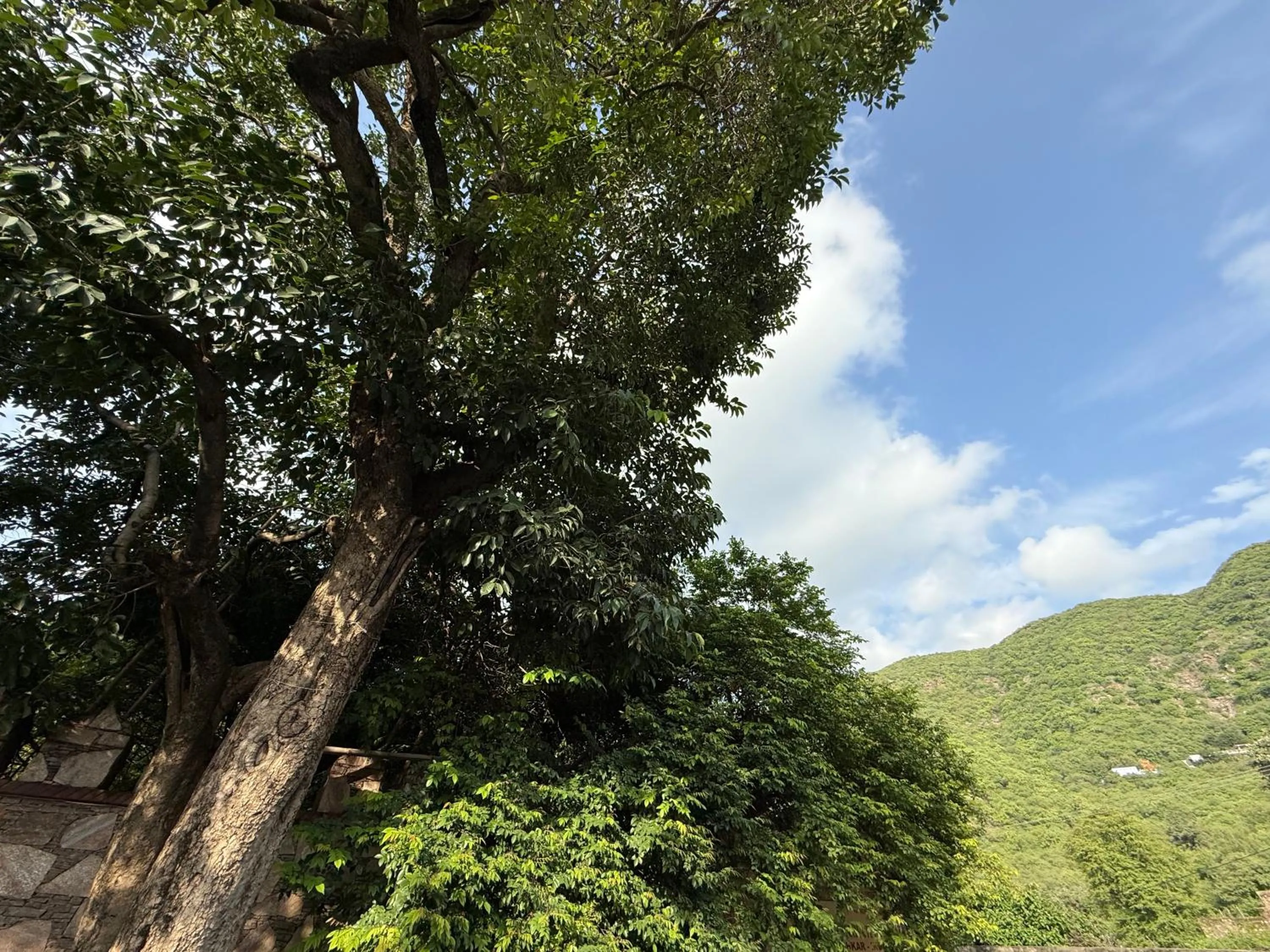 Hotel Green Heaven Resort