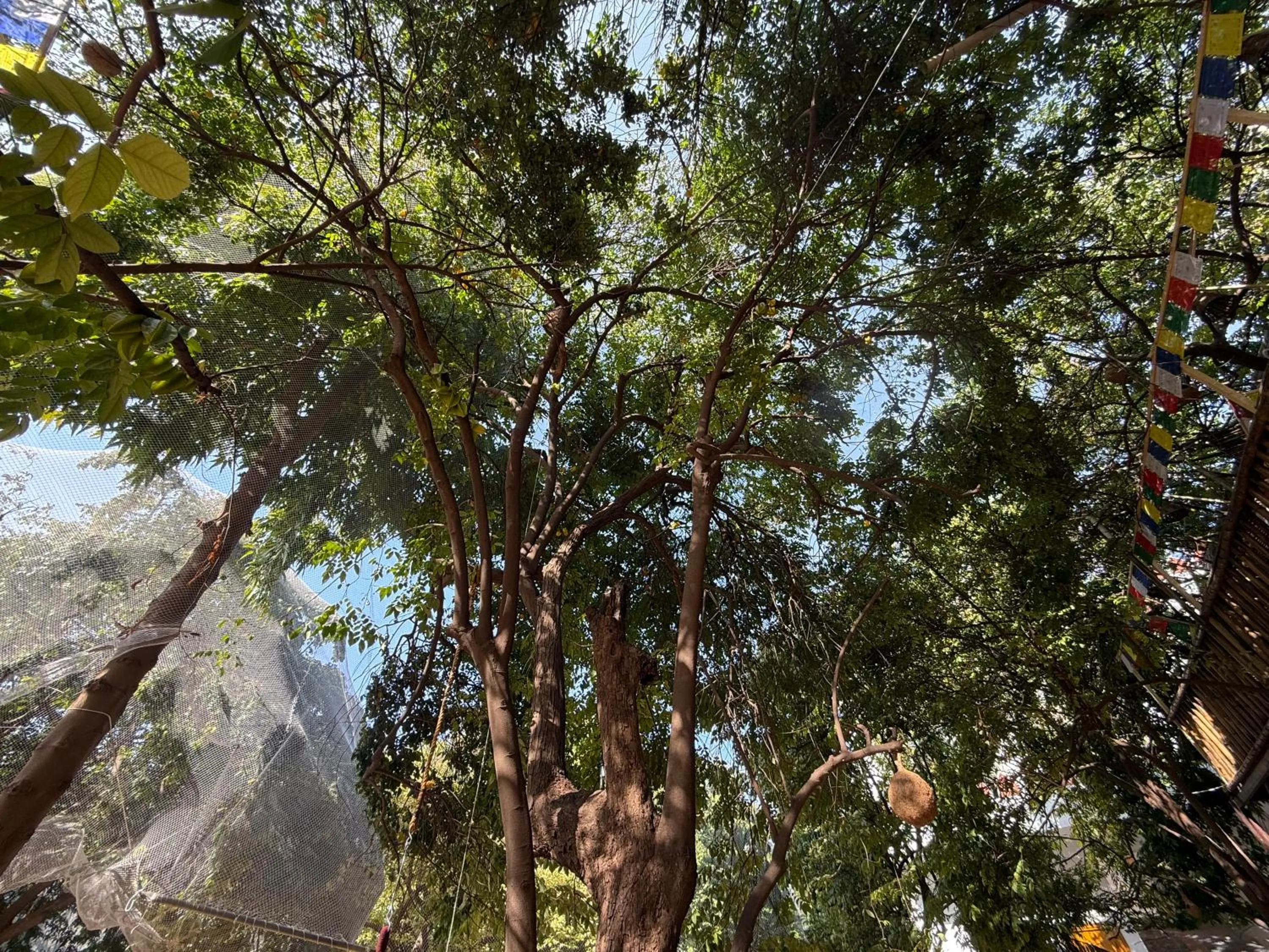 Hotel Green Heaven Resort